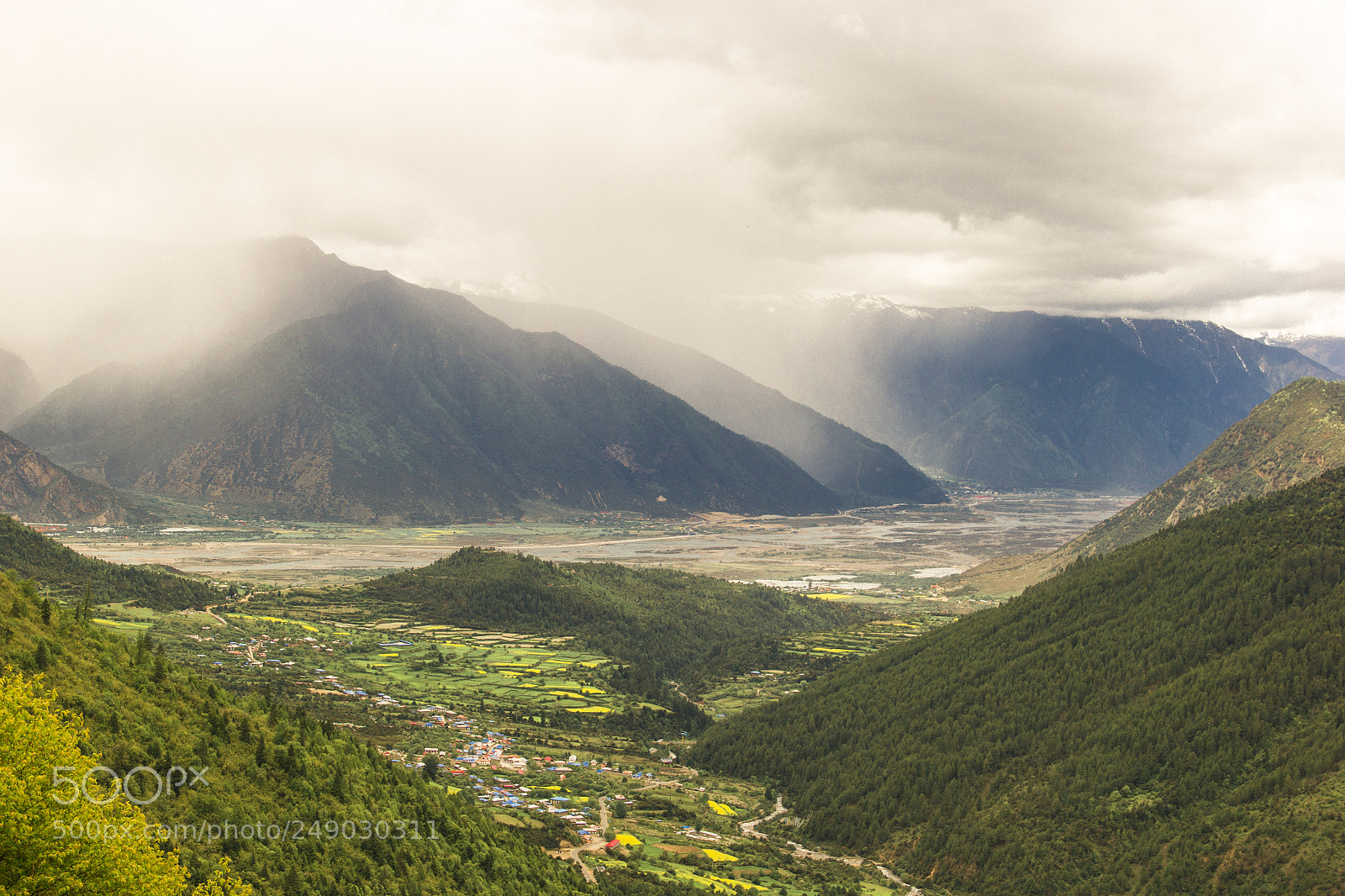 Canon EOS 60D sample photo. Back to lhasa photography