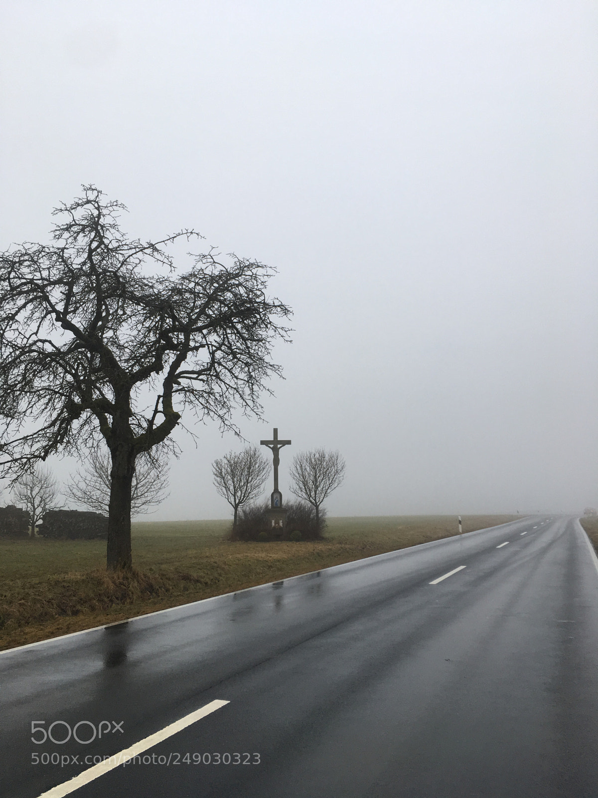 Apple iPhone SE sample photo. Untitled photography
