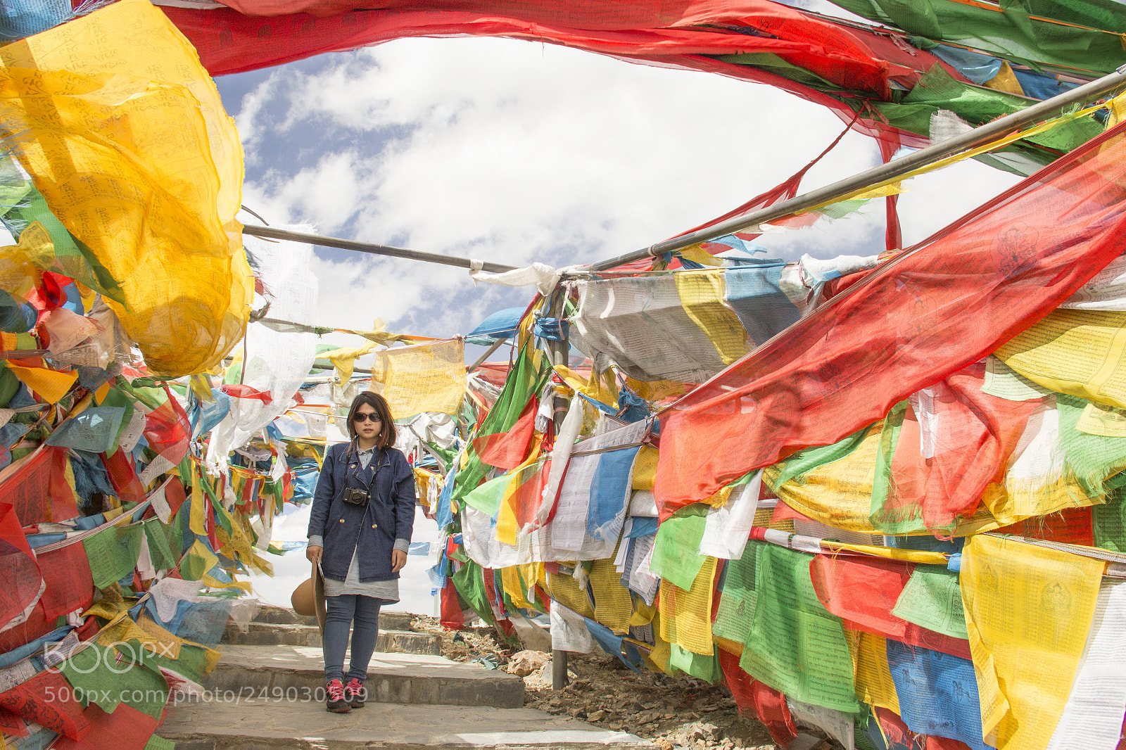 Canon EOS 60D sample photo. Back to lhasa photography