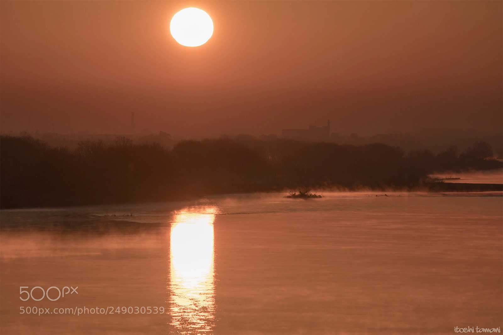 Sony a7R II sample photo. Morning sun photography