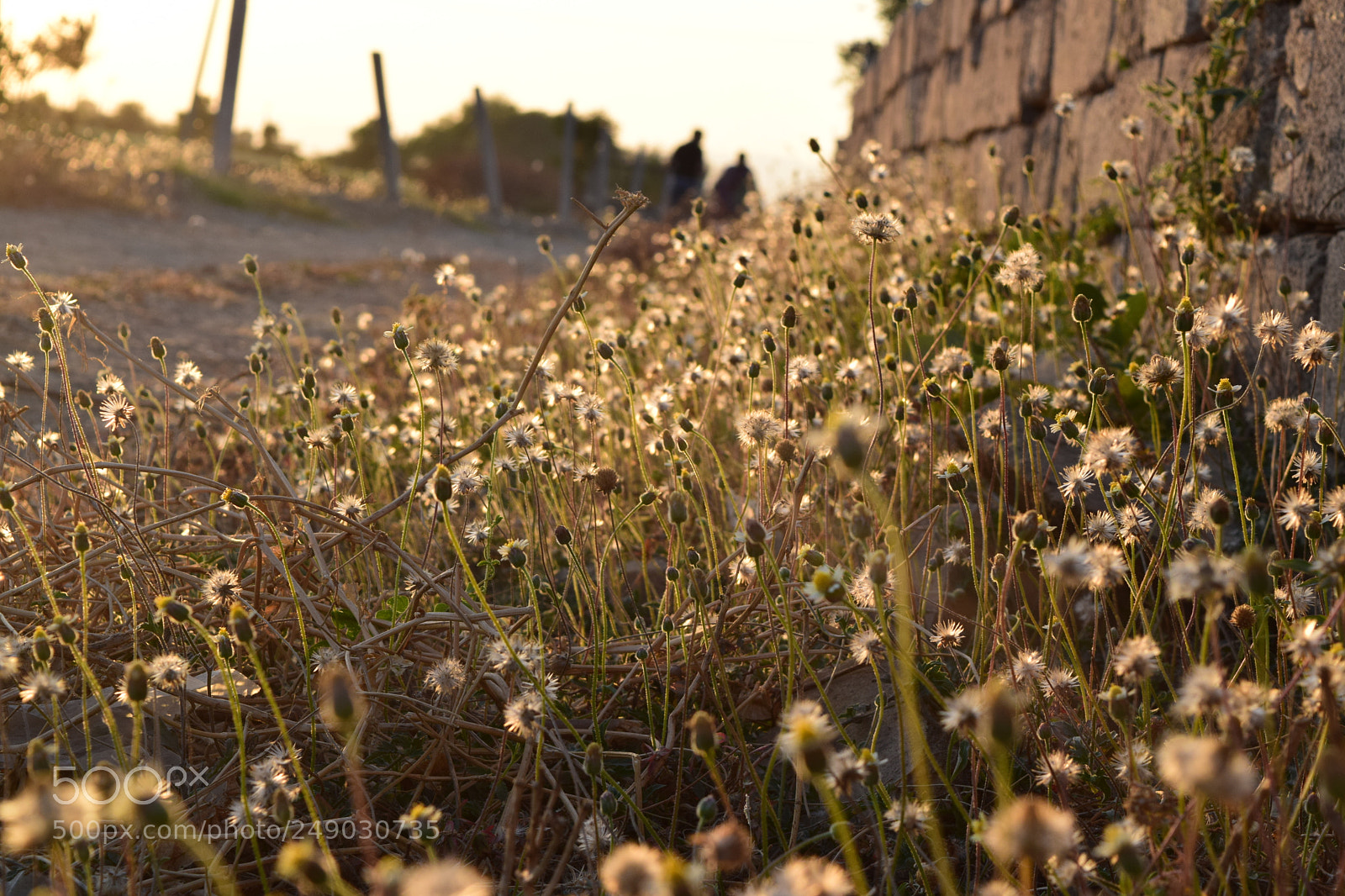 Nikon D3300 sample photo. Don't underestimate the value photography