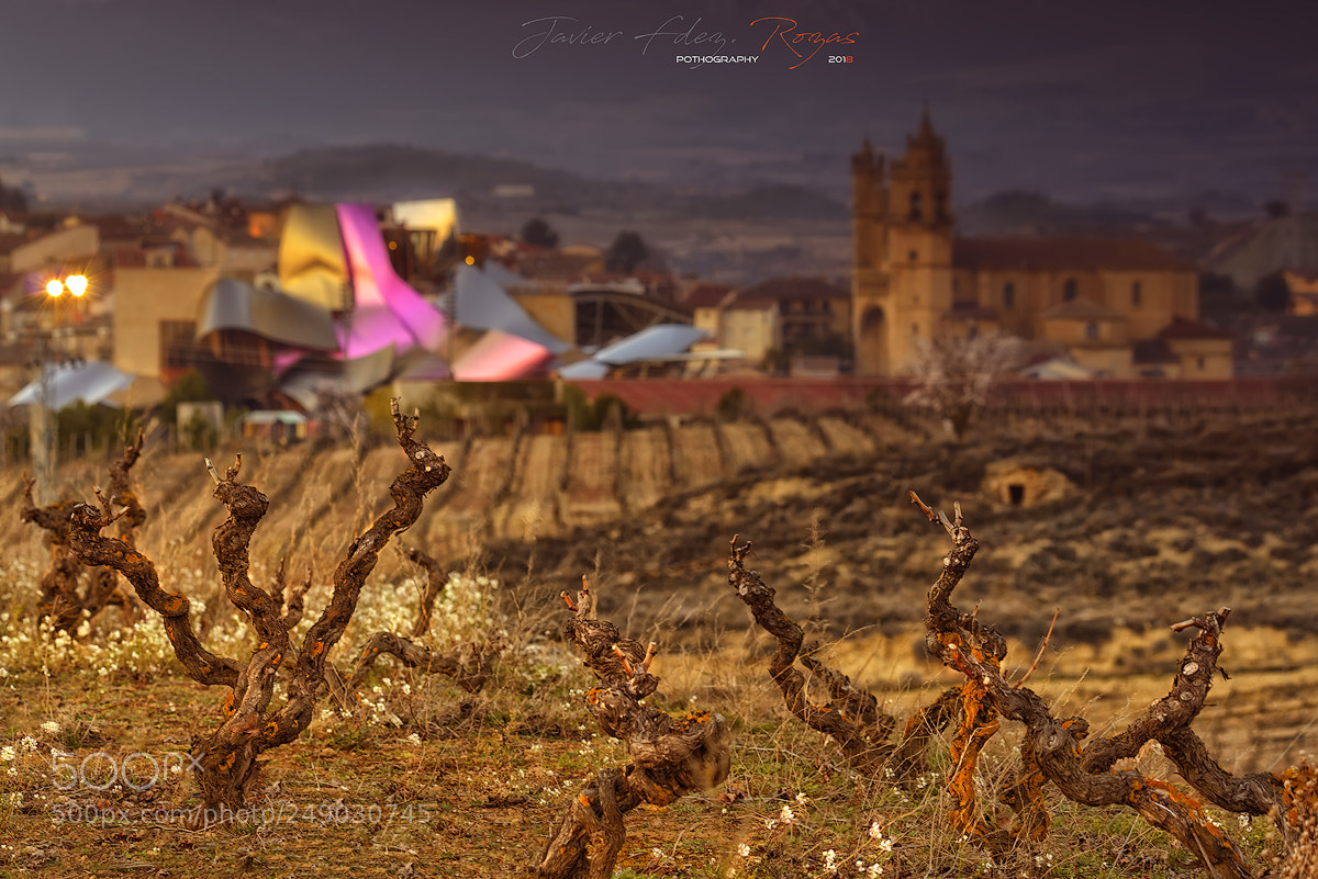 Nikon D800 sample photo. Viñas photography