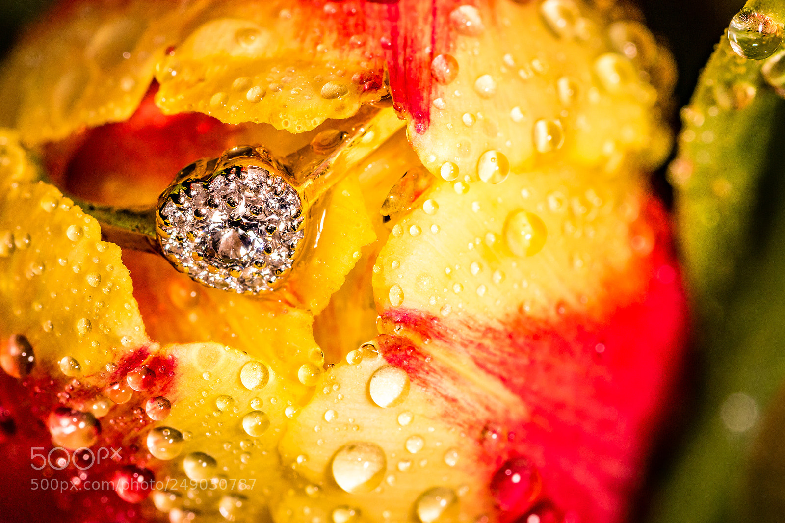 Canon EOS 7D Mark II sample photo. Engagement ring macro in photography