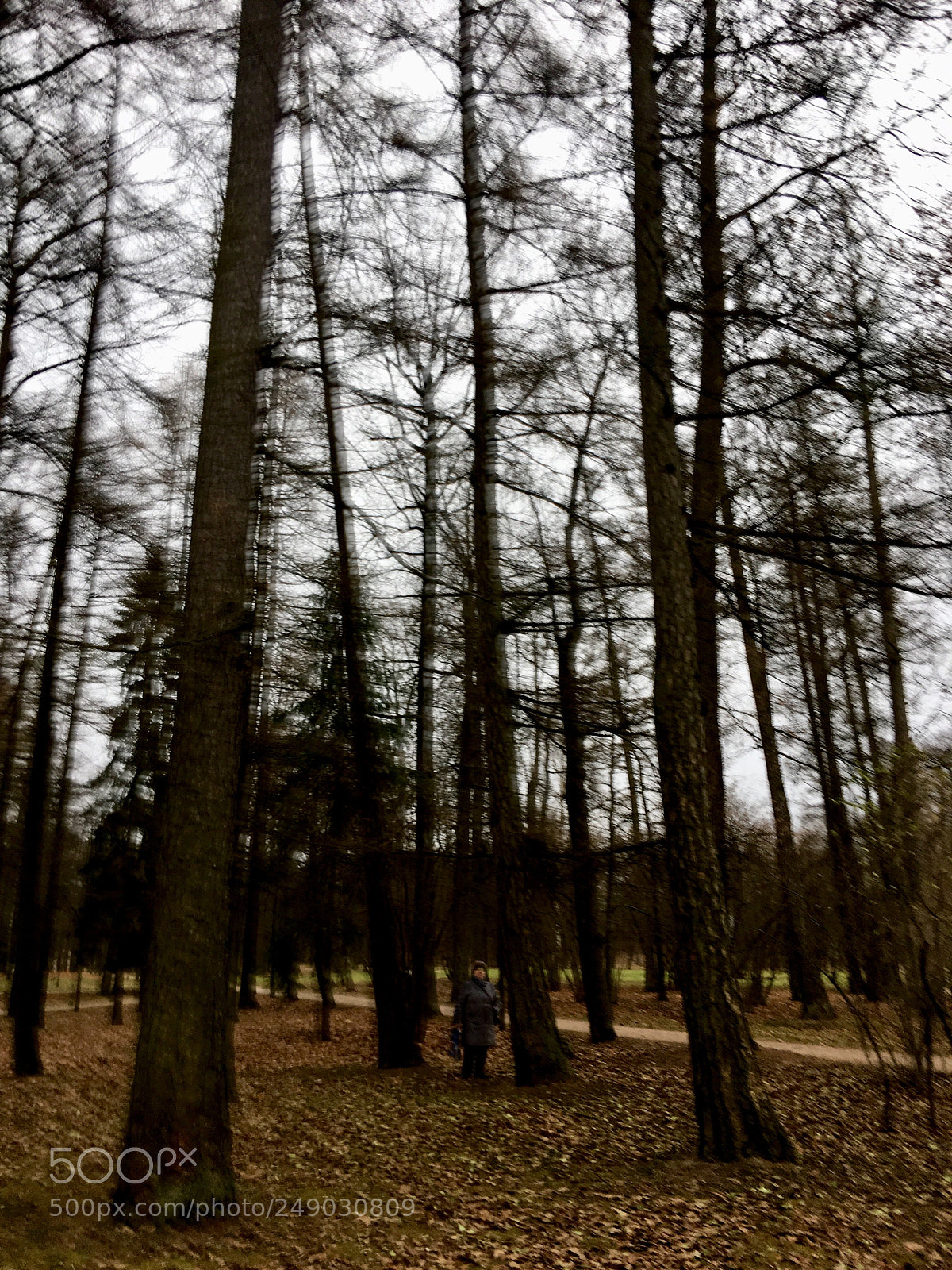 Apple iPhone 6s Plus sample photo. Untitled photography