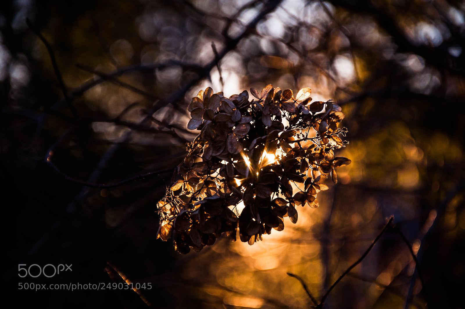 Nikon D90 sample photo. Light overcomes all photography