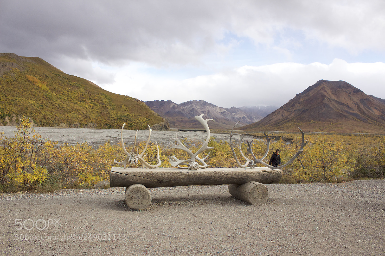 Canon EOS 600D (Rebel EOS T3i / EOS Kiss X5) sample photo. Denali, alaska photography
