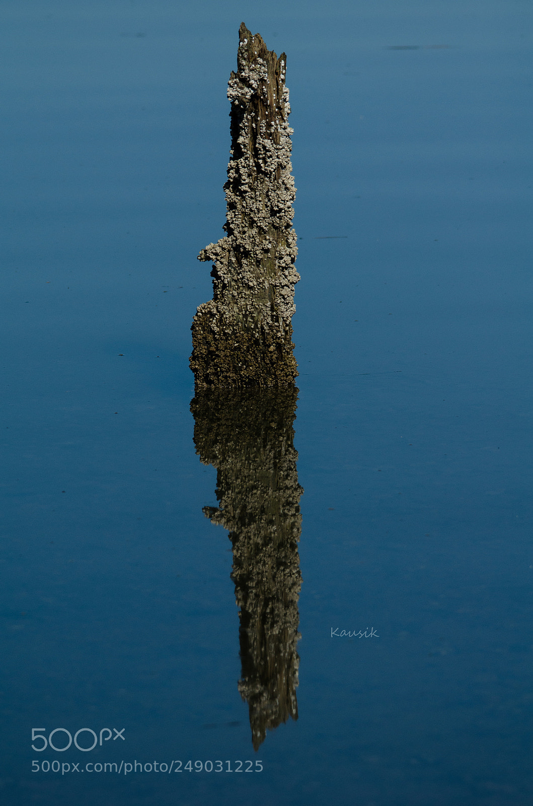 Nikon D5100 sample photo. Half and half photography