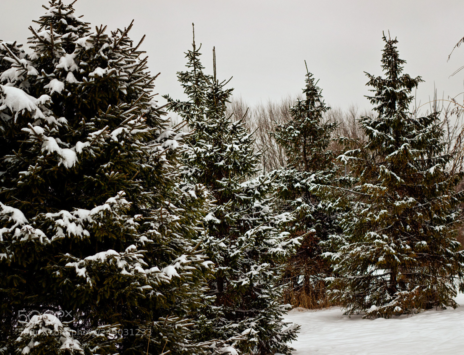 Canon EOS 100D (EOS Rebel SL1 / EOS Kiss X7) sample photo. Winter in south butovo photography