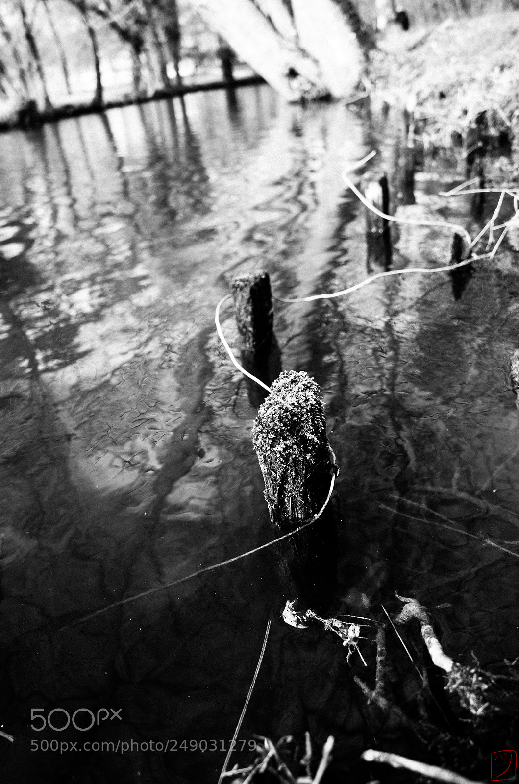 Ricoh GR II sample photo. Lien photography