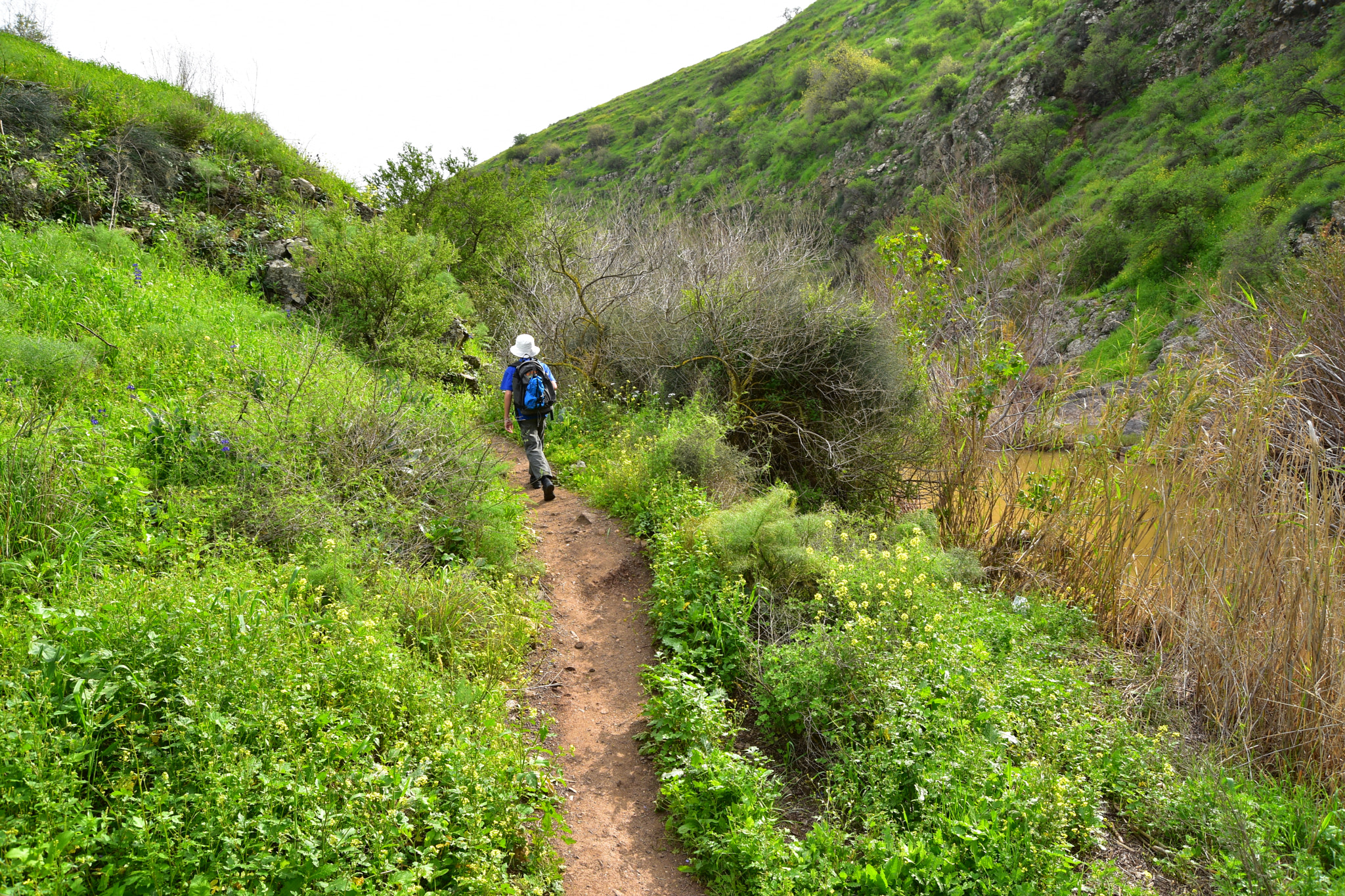 Nikon D3400 sample photo. Hiking photography