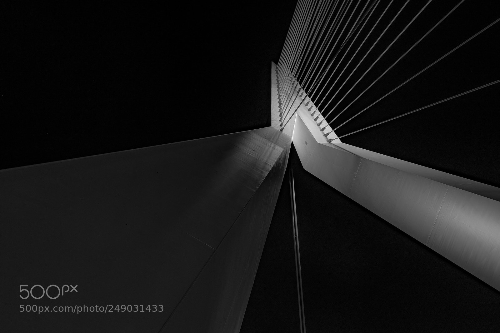 Nikon D5500 sample photo. Erasmus bridge, rotterdam photography