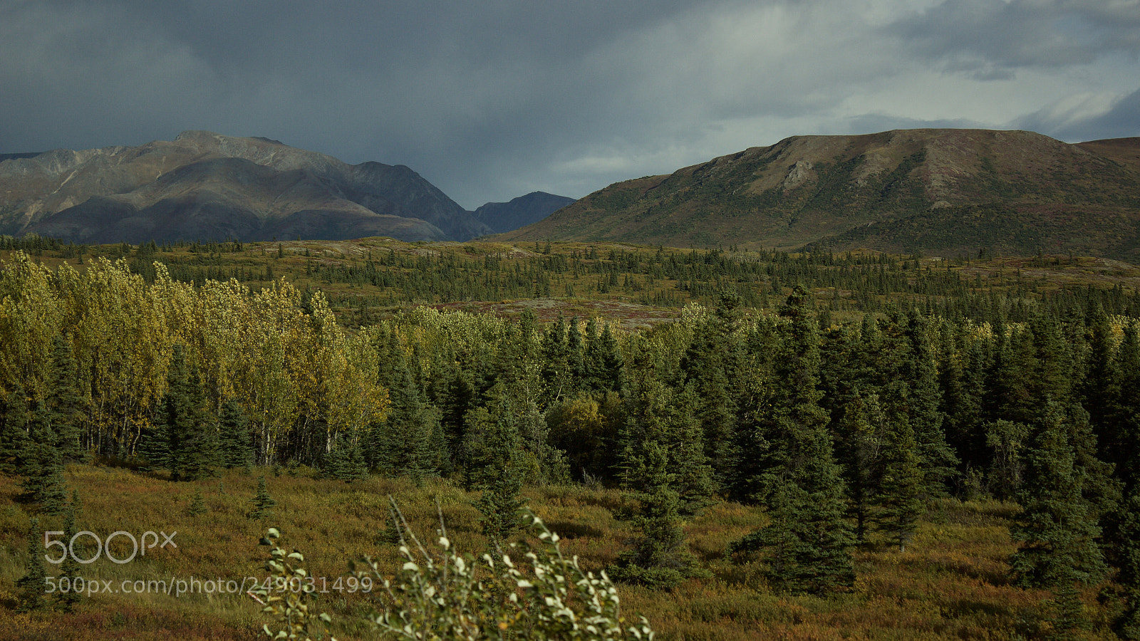 Canon EOS 600D (Rebel EOS T3i / EOS Kiss X5) sample photo. Alaska photography