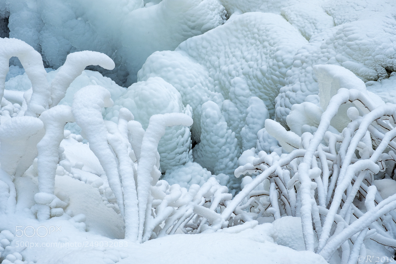 Fujifilm X-T2 sample photo. Kingdom of ice and photography