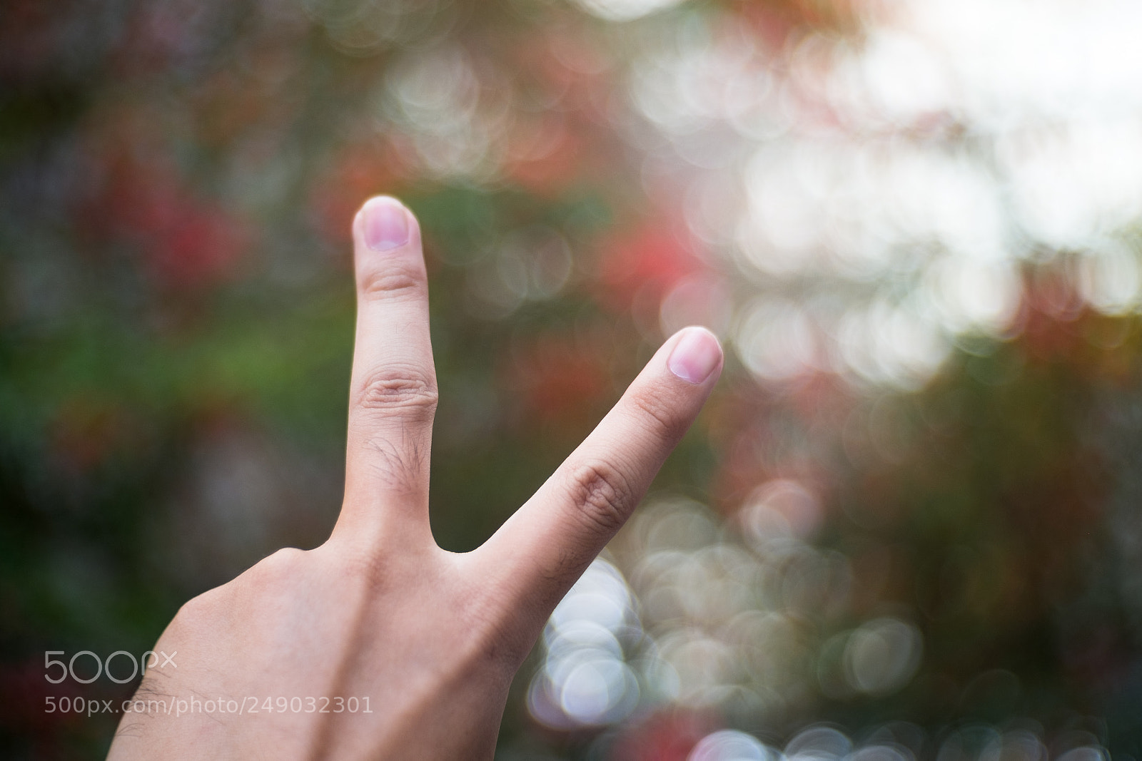 Fujifilm X-E1 sample photo. The two fingers photography