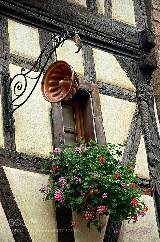 Nikon D5100 sample photo. Alsace (10) photography