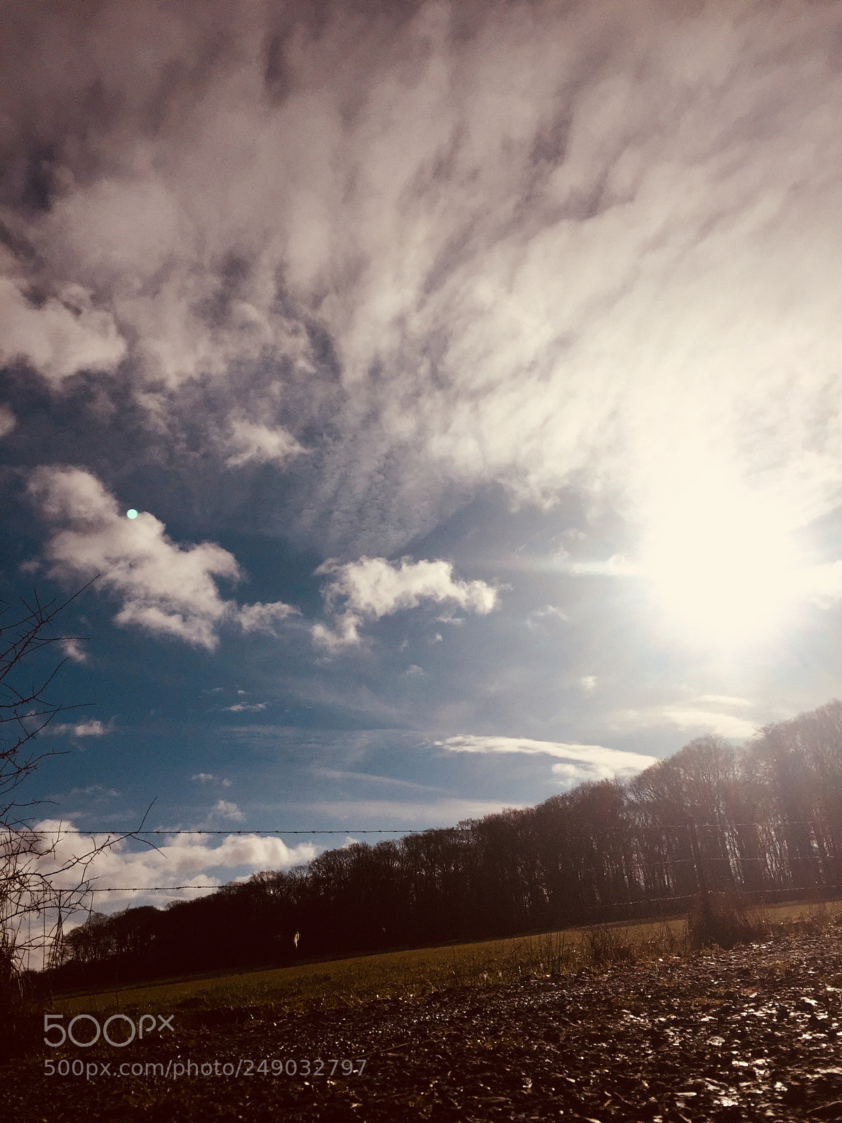 Apple iPhone 6 sample photo. Sunny monday photography