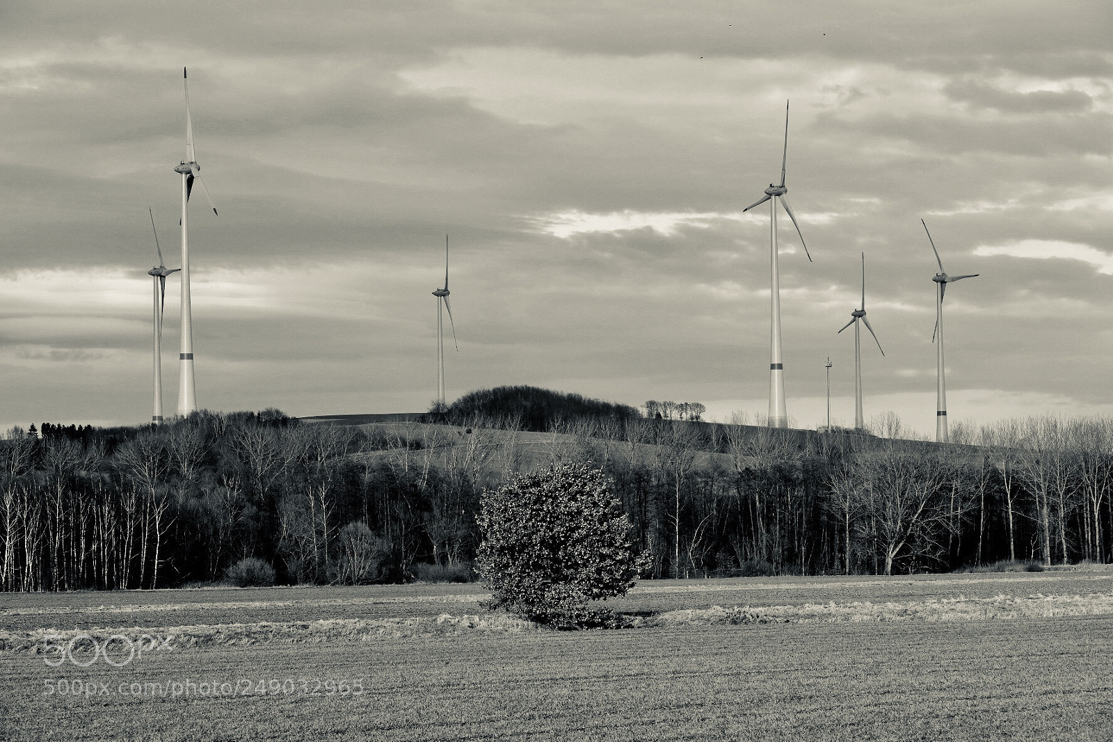 Fujifilm X-T2 sample photo. Windräder photography