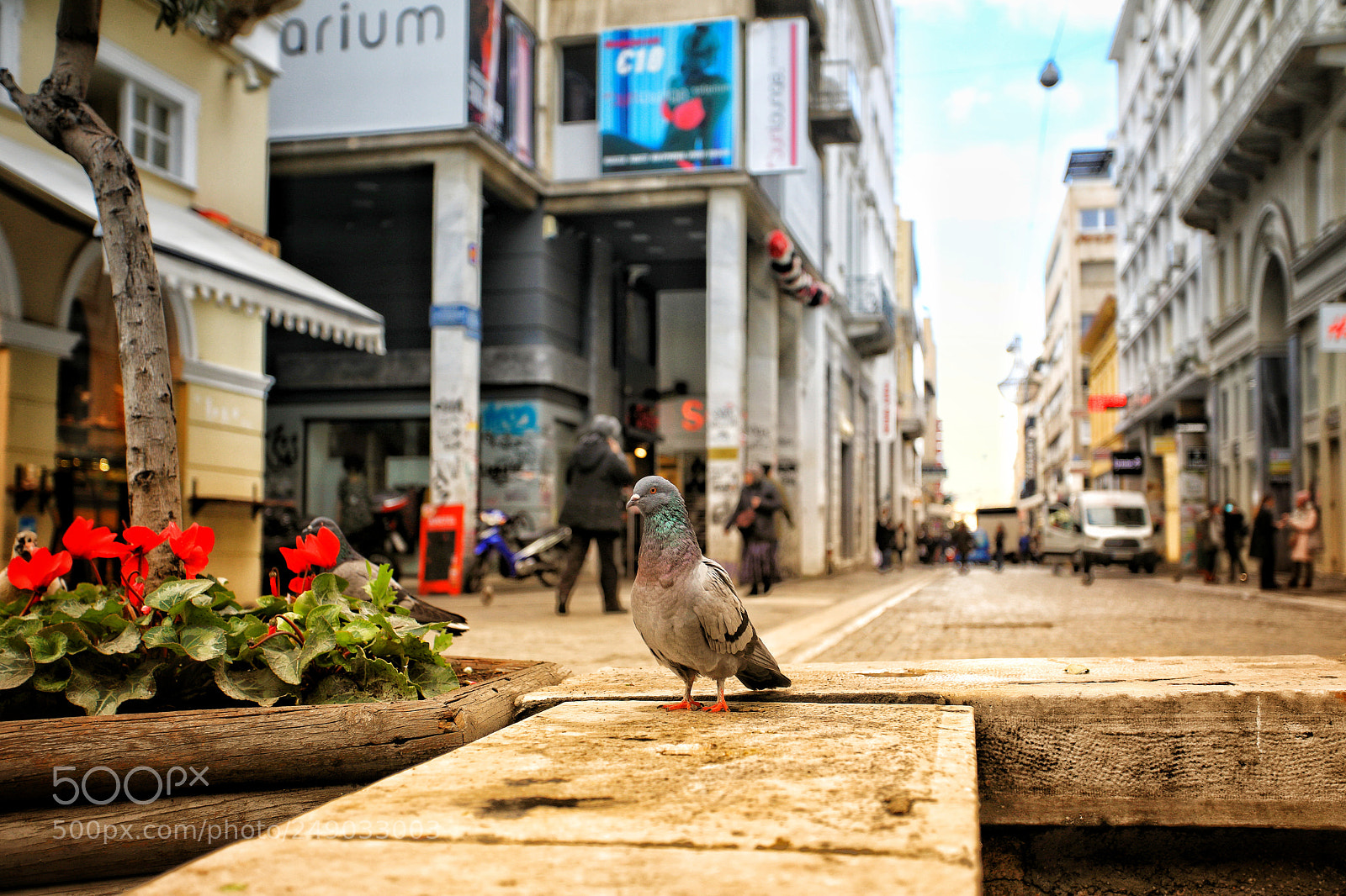 Canon EOS 5D Mark IV sample photo. Ermou street visitor photography