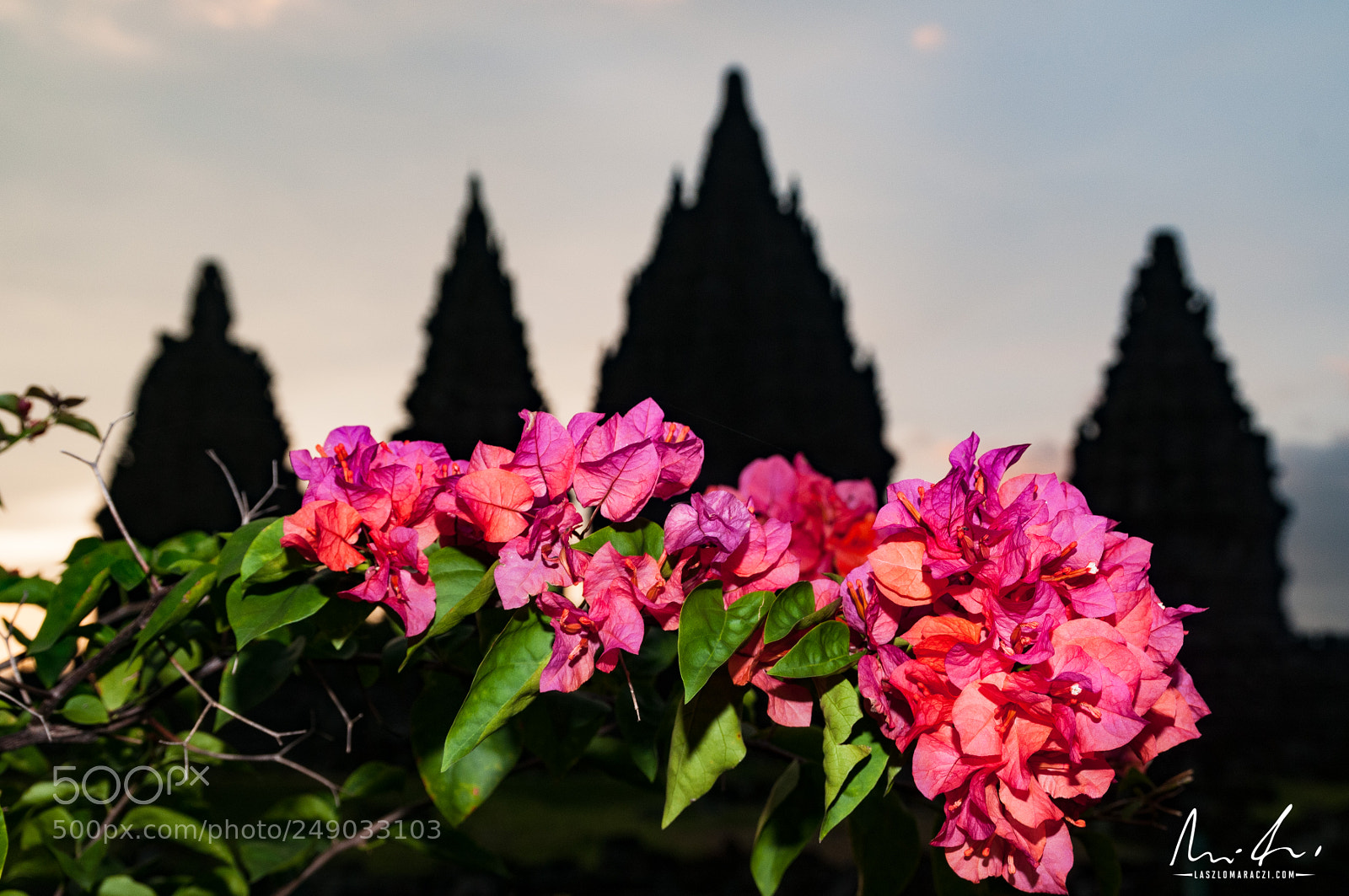 Nikon D300 sample photo. Prambanan behind photography