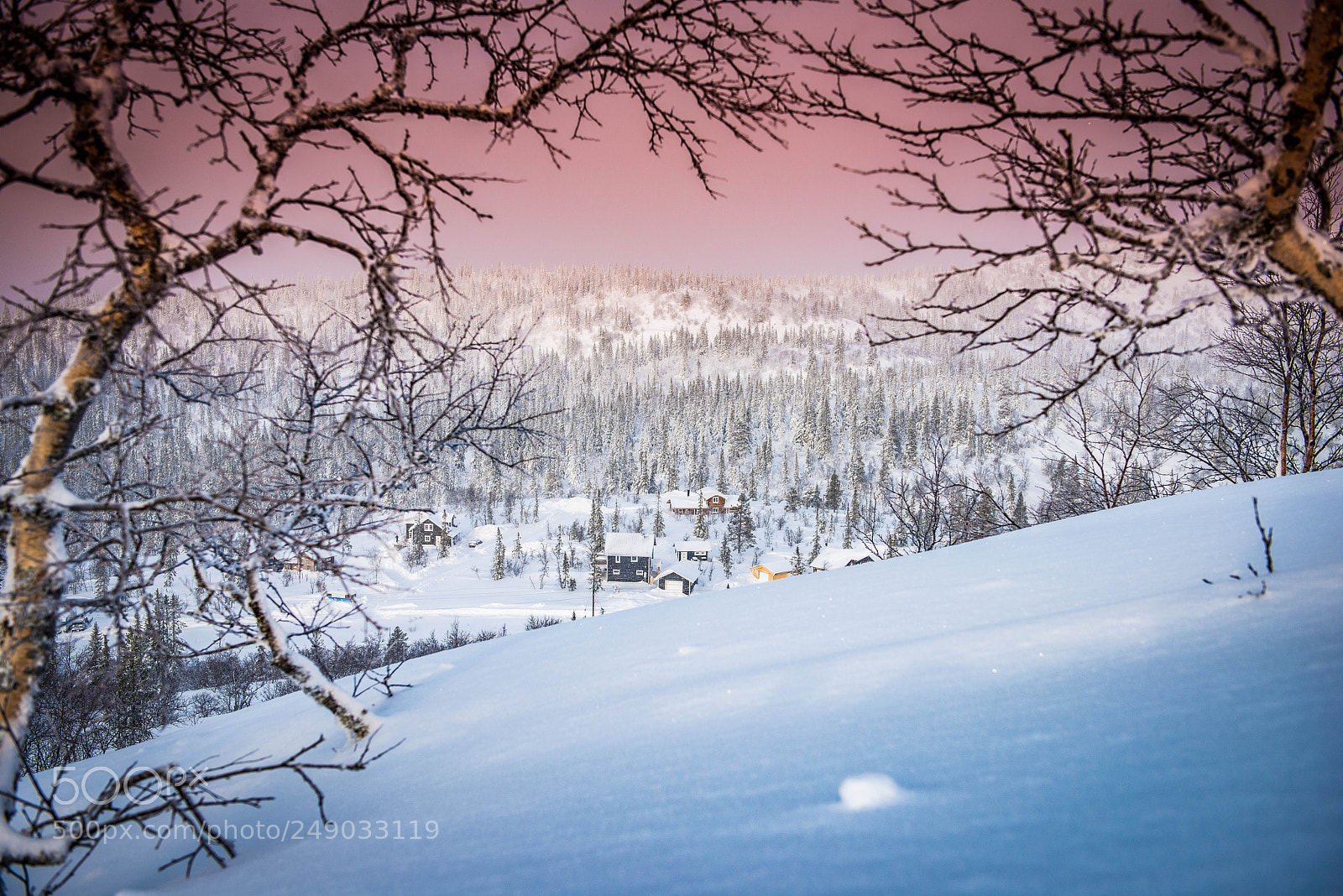 Nikon D800 sample photo. 25c morning in vemdalen photography