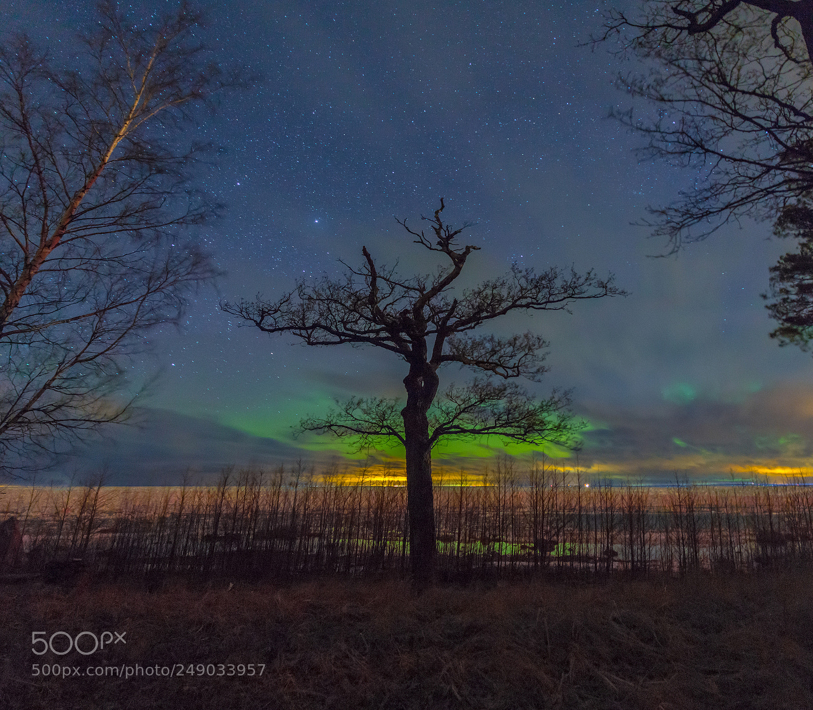Canon EOS 60D sample photo. Northern lights on the photography