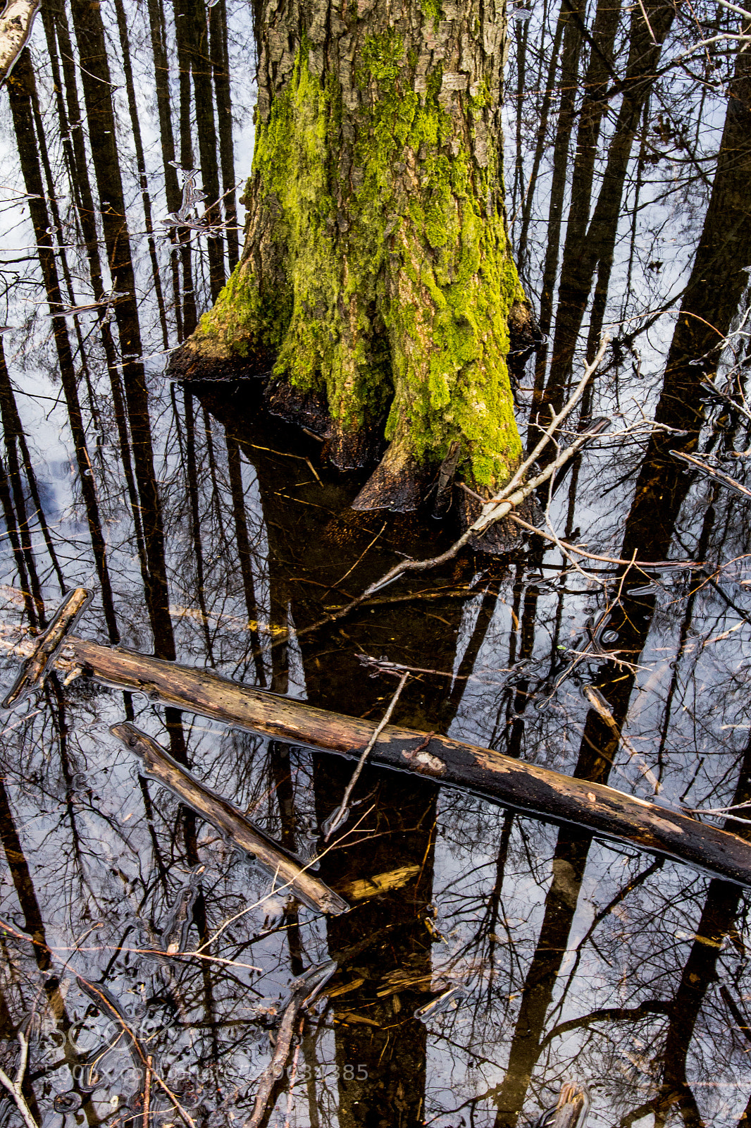 Canon EOS 60D sample photo. Reflection photography