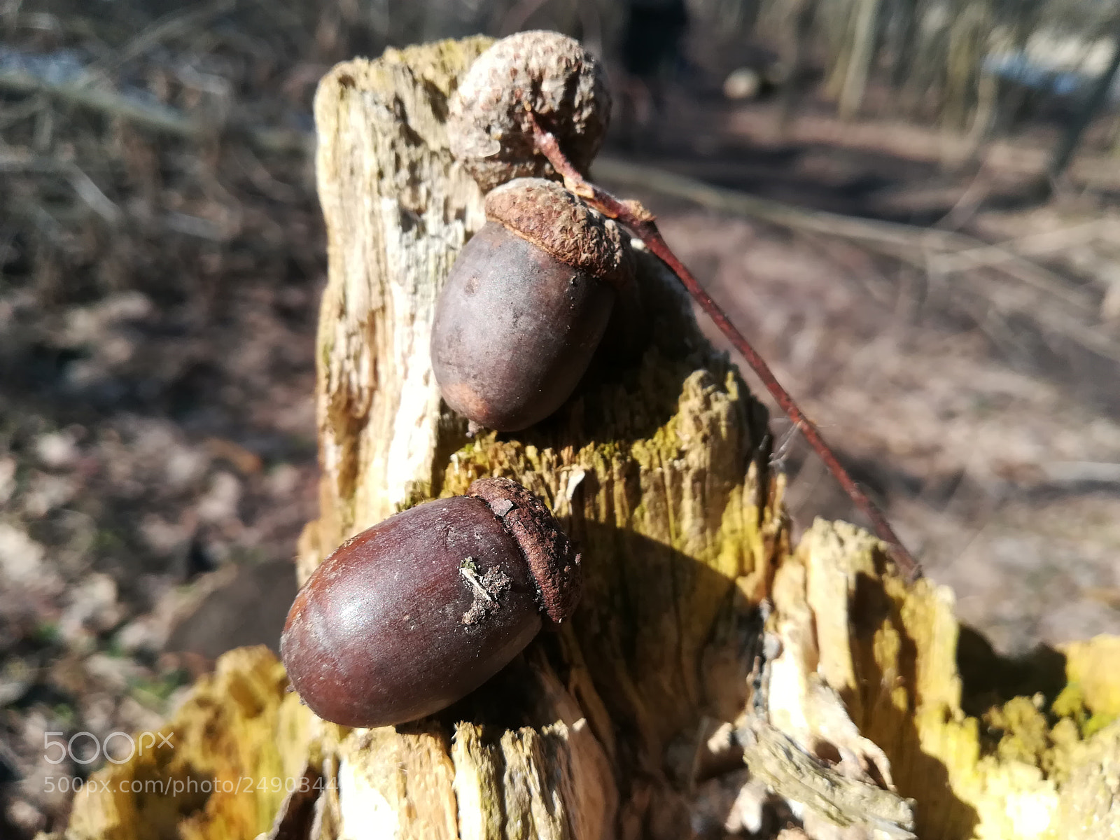 HUAWEI PRA-LX1 sample photo. Untitled photography