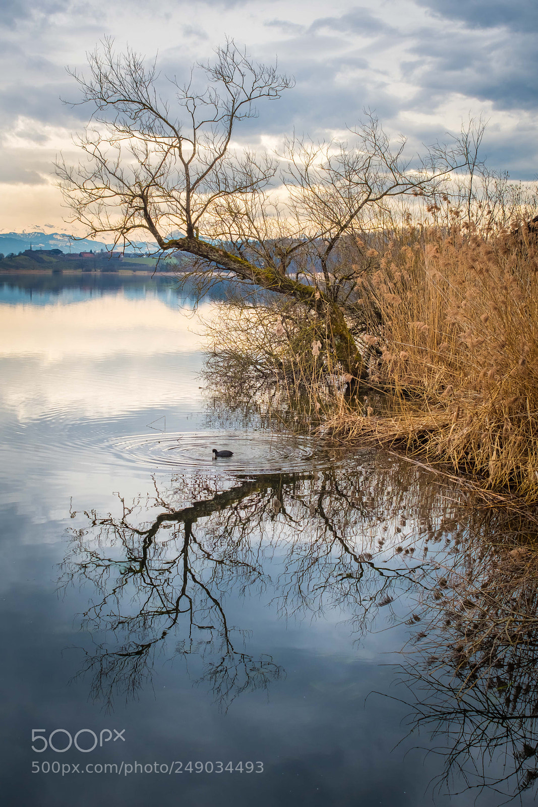 Fujifilm X-T2 sample photo. Swiss lake photography