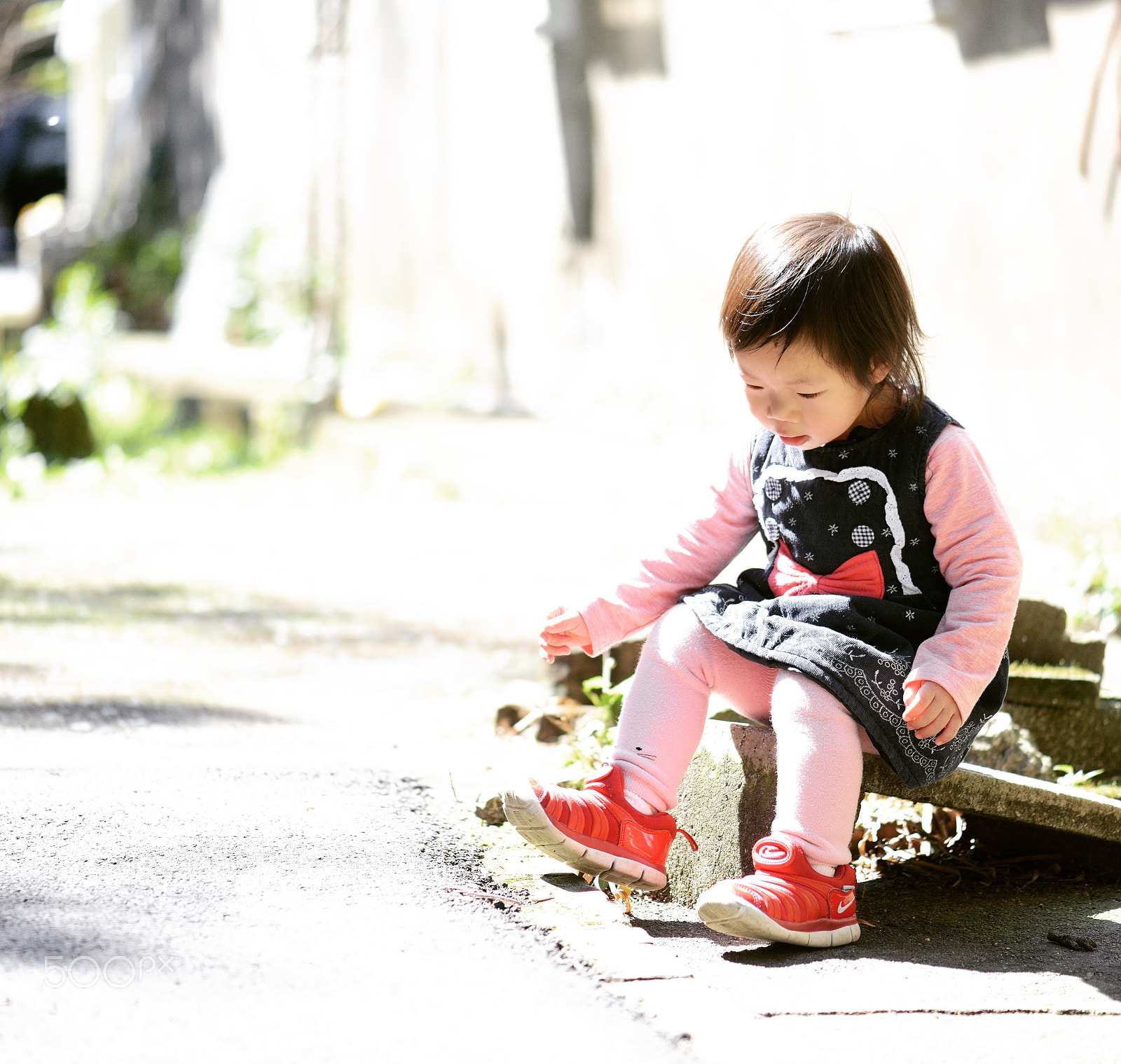Nikon D800 sample photo. Untitled photography