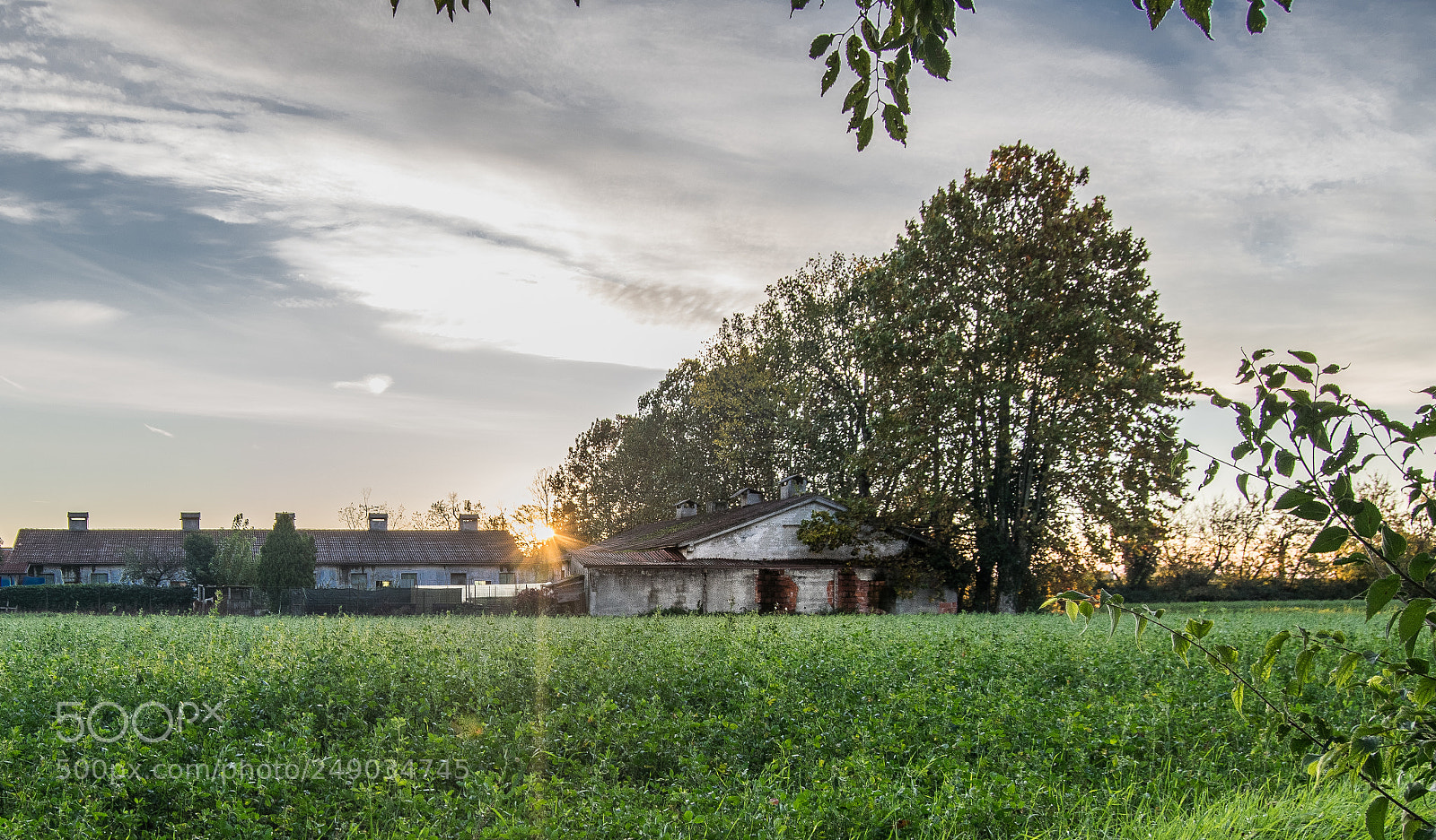 Nikon D5300 sample photo. Farm photography