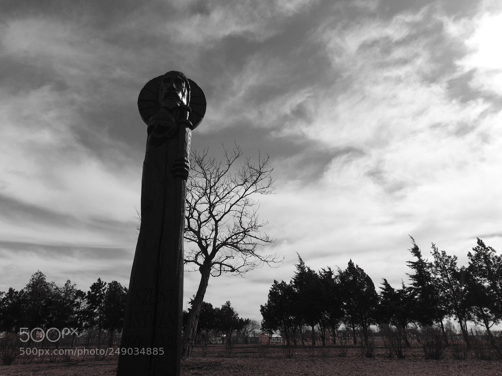 Sony Cyber-shot DSC-H300 sample photo. The wooden statue photography