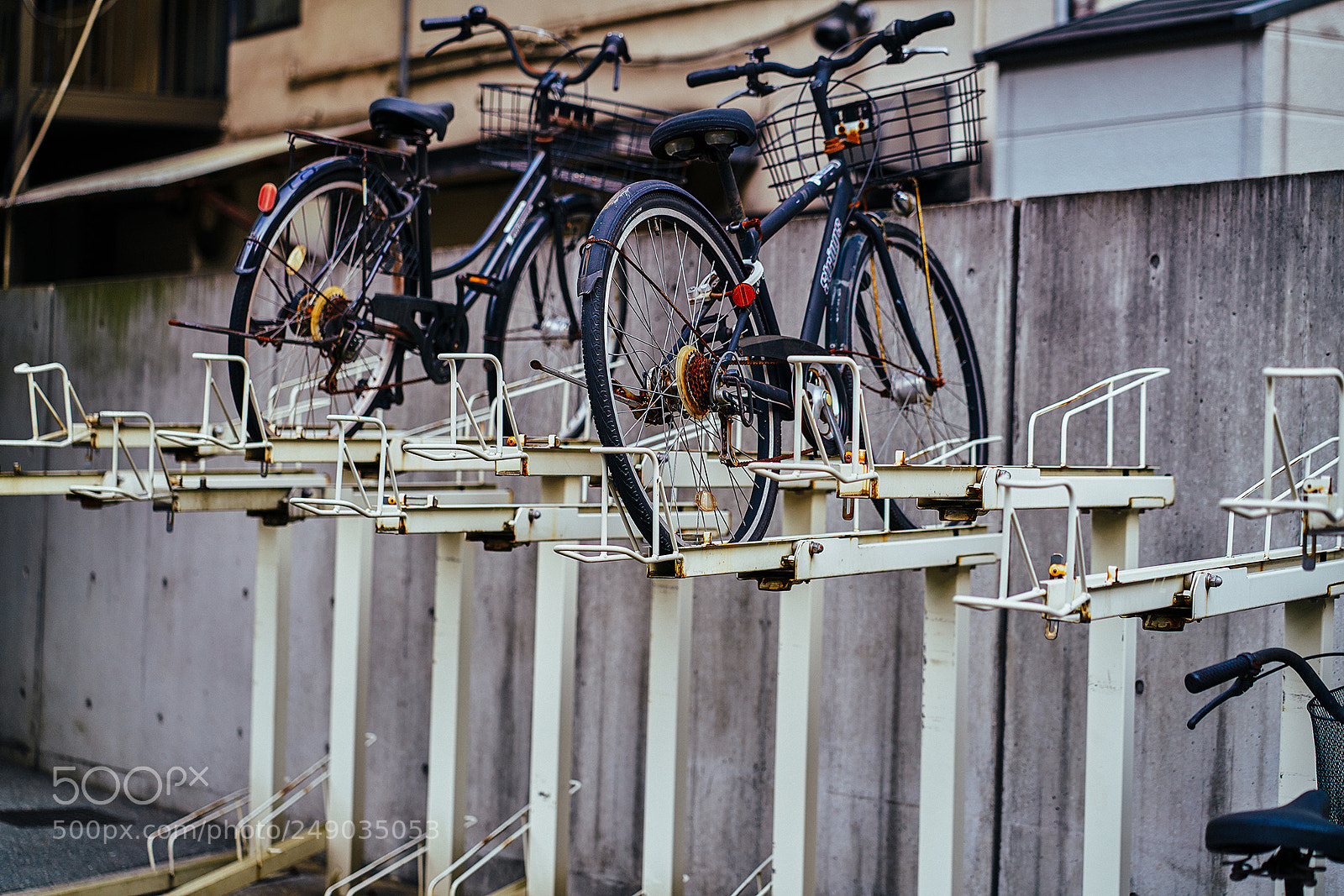 Sony a7R II sample photo. Dsc photography