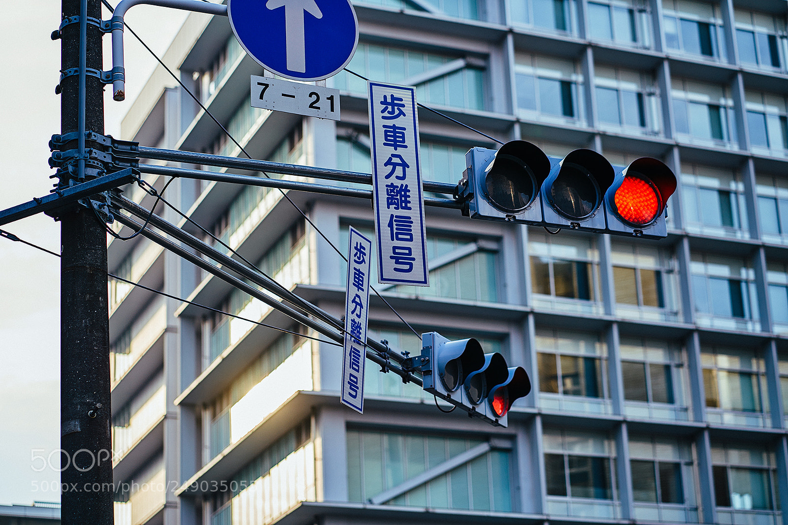 Sony a7R II sample photo. Dsc photography