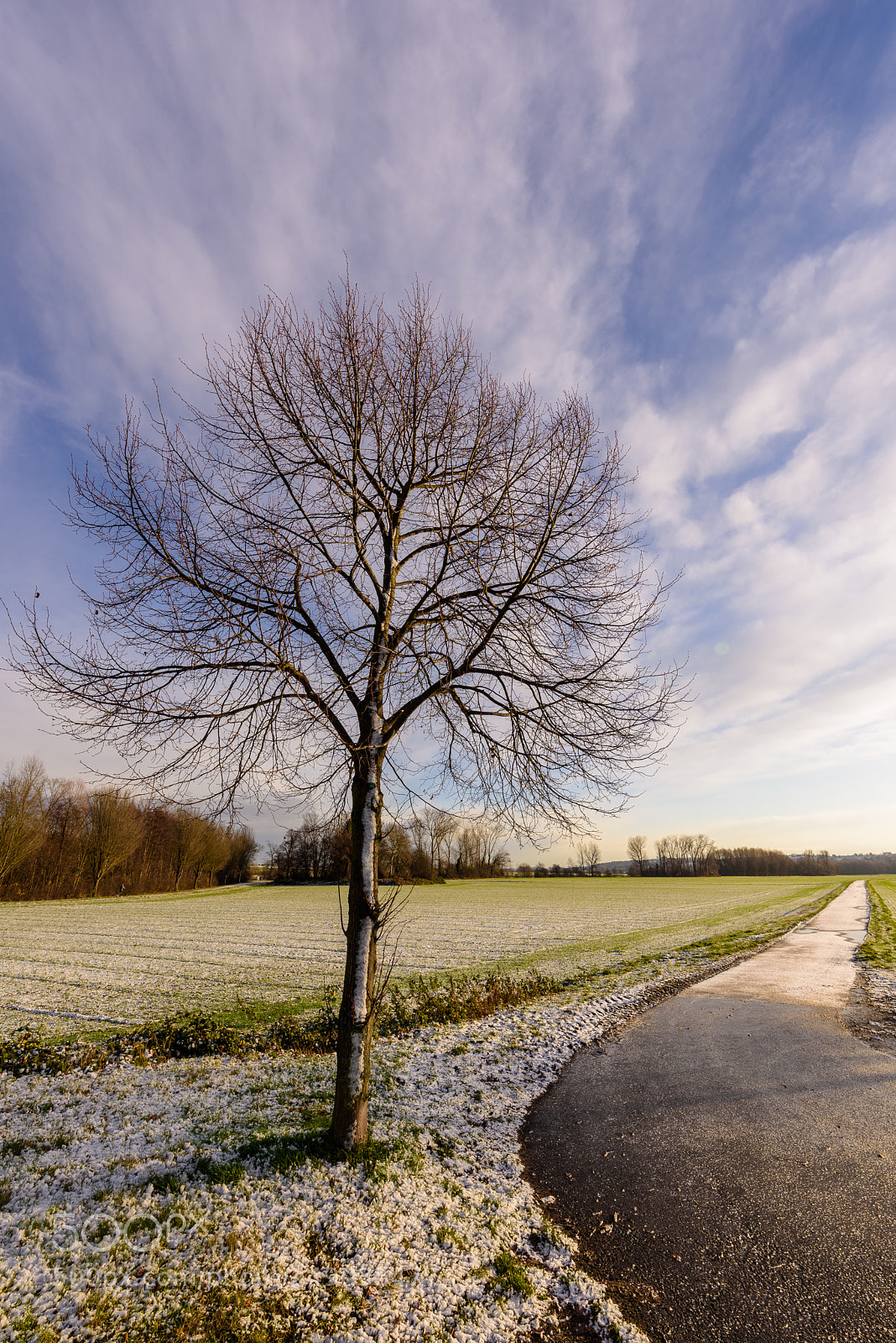 Nikon D810 sample photo. Morning walks photography