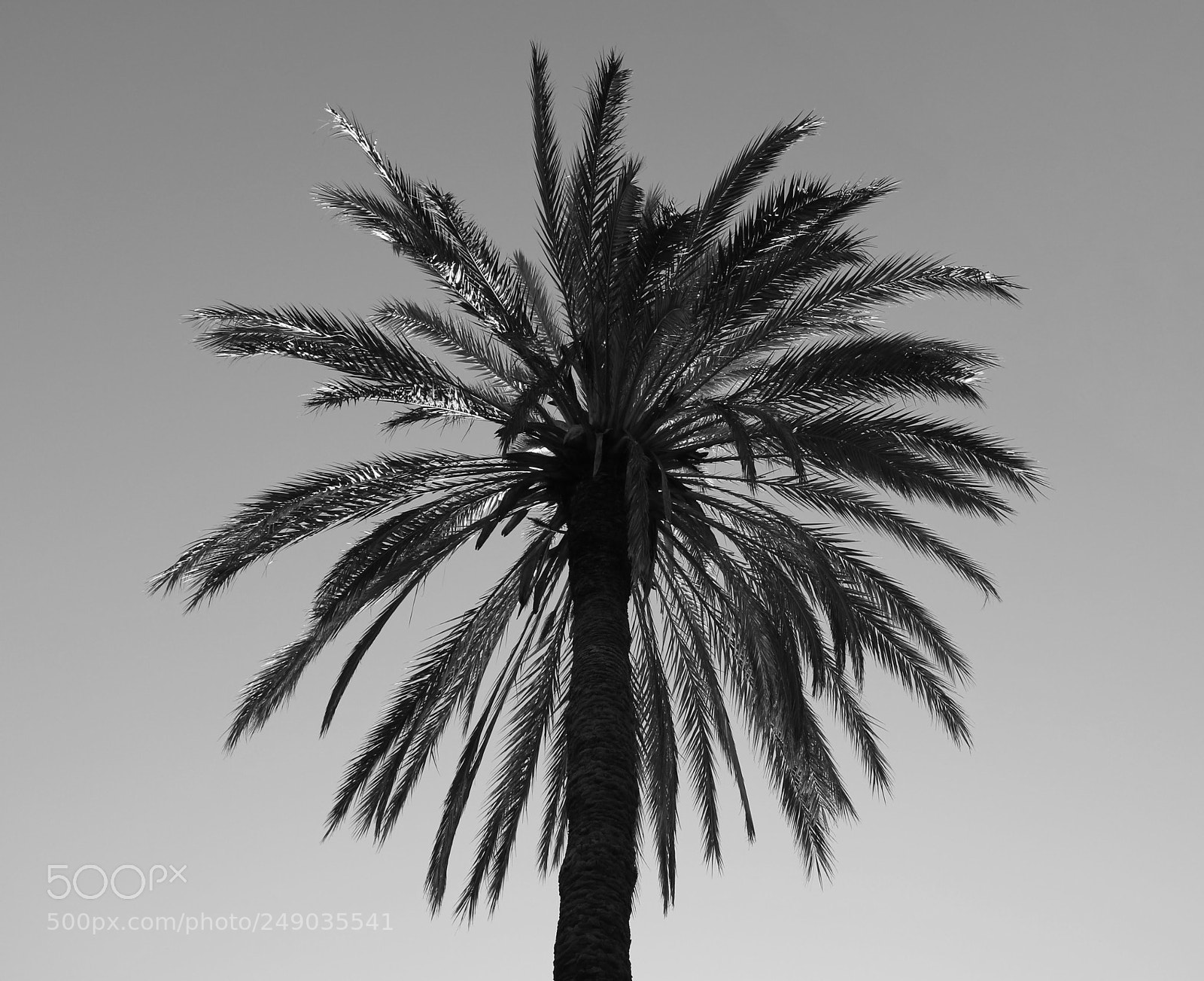 Canon EOS M3 sample photo. Untitled photography