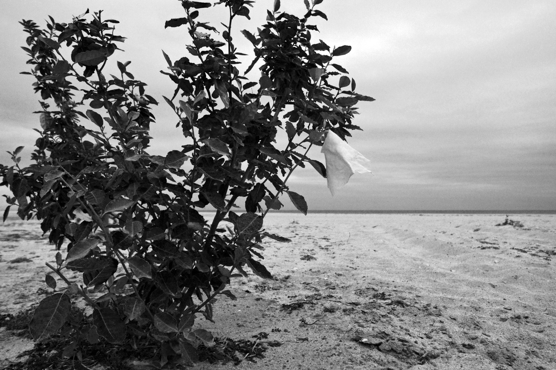 Nikon D7100 sample photo. #106 photography