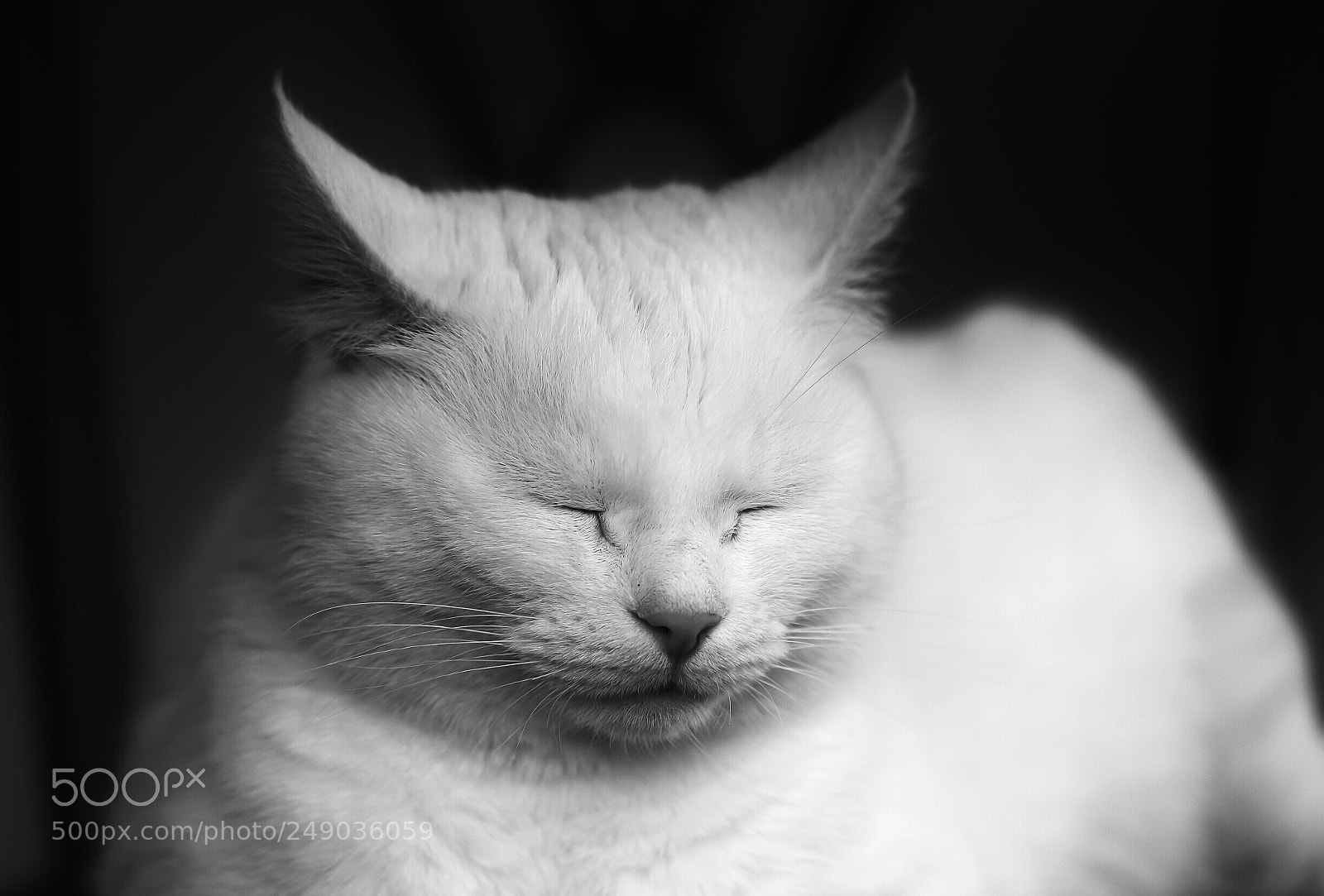 Canon EOS 700D (EOS Rebel T5i / EOS Kiss X7i) sample photo. Sunday mood photography