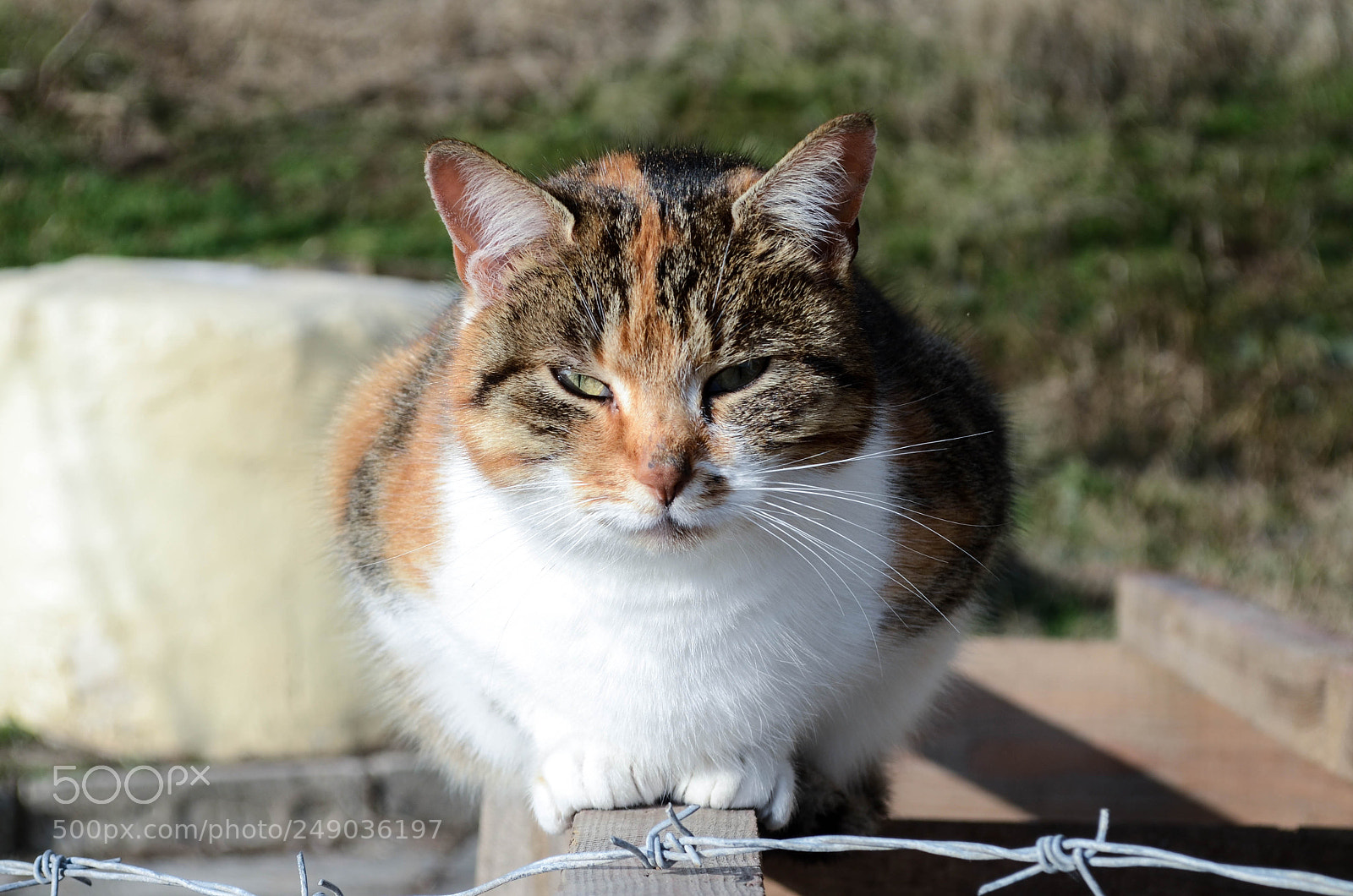 Nikon D5100 sample photo. I think. nevermind photography