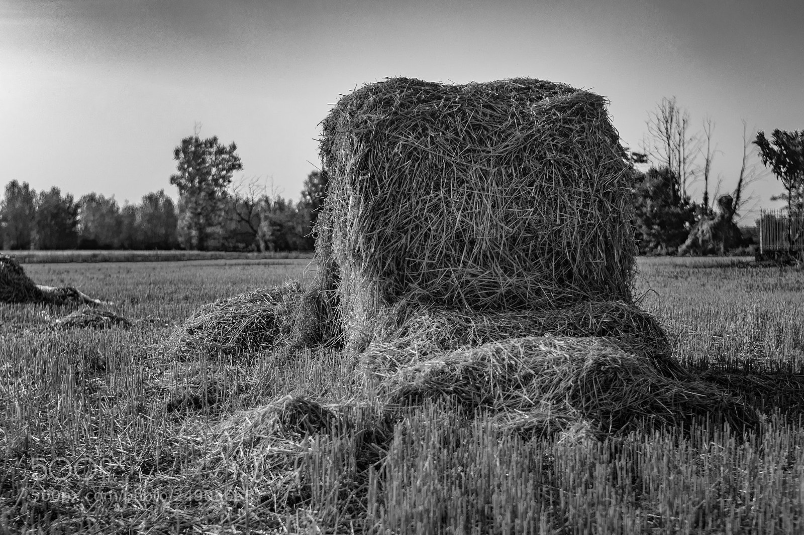 Nikon D5300 sample photo. Bale of straw photography