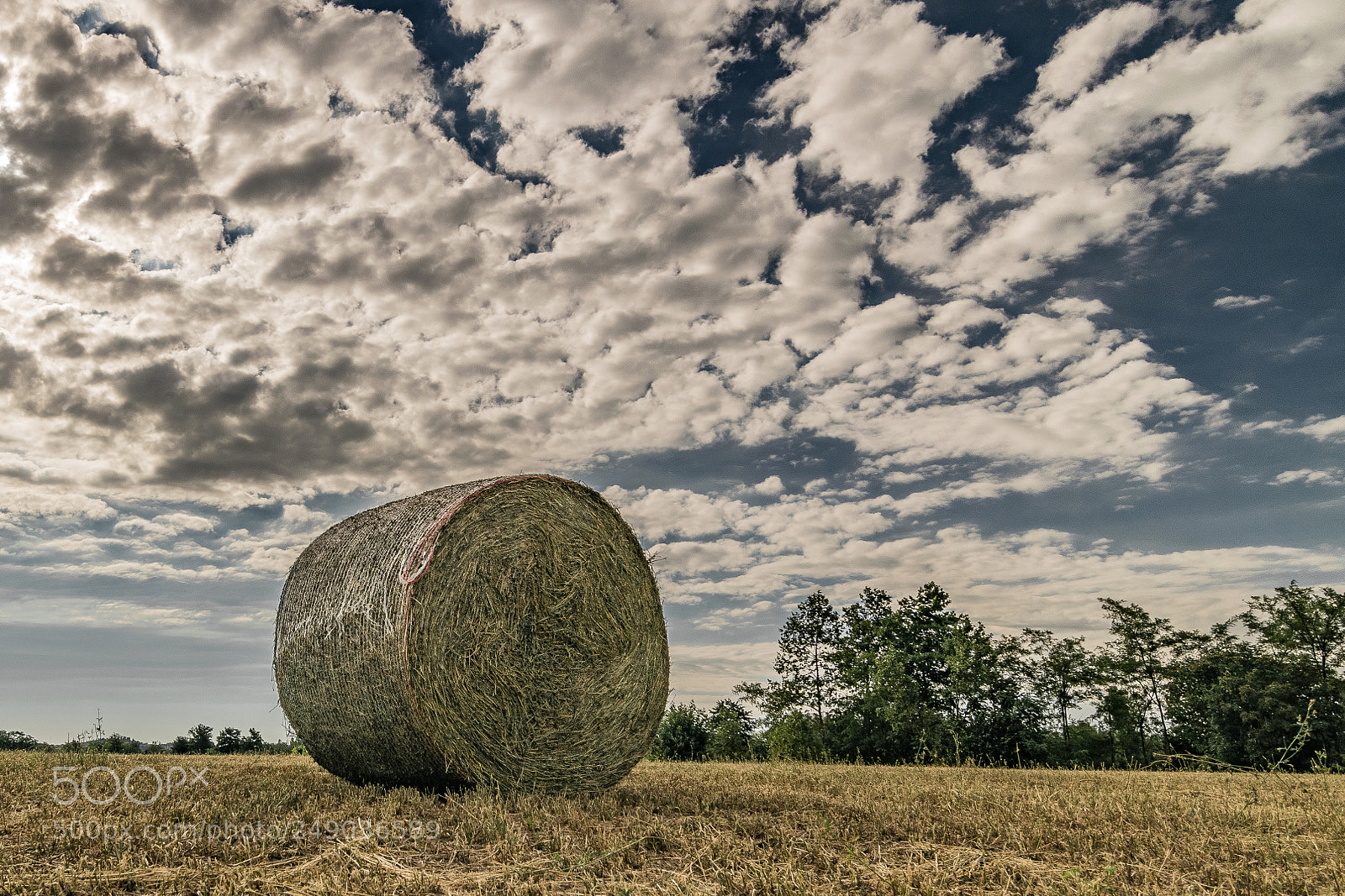 Nikon D5300 sample photo. Country life photography