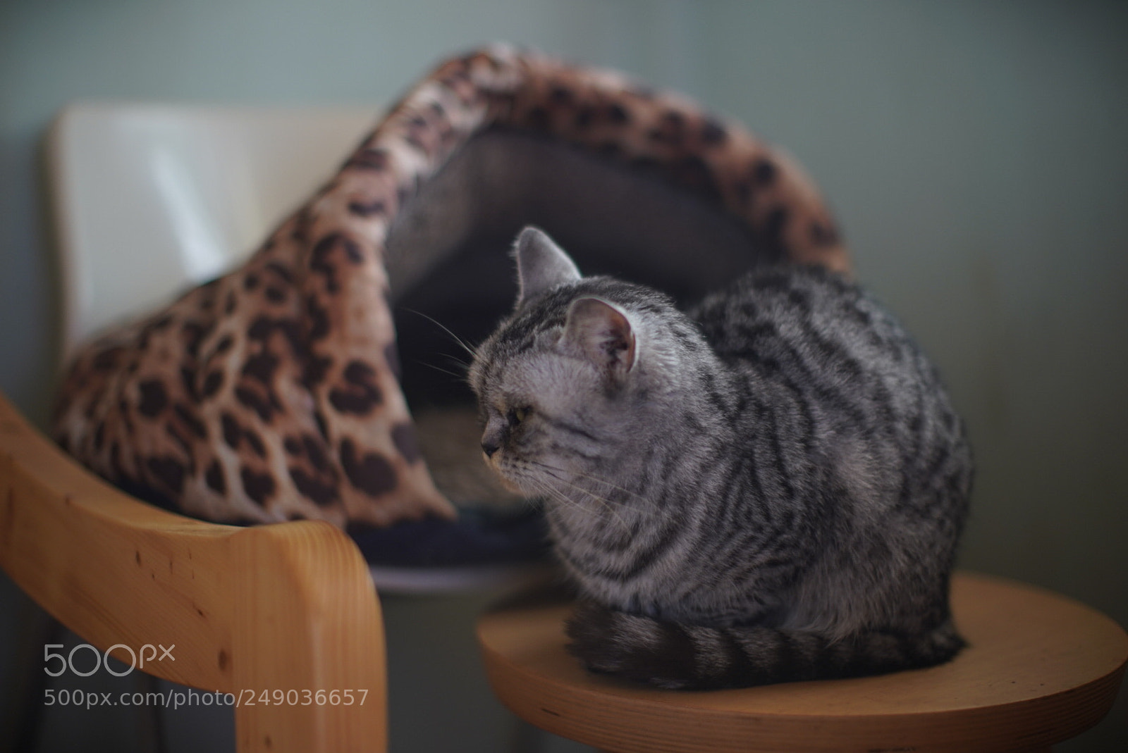 Sony a9 sample photo. Relax and enjoy photography
