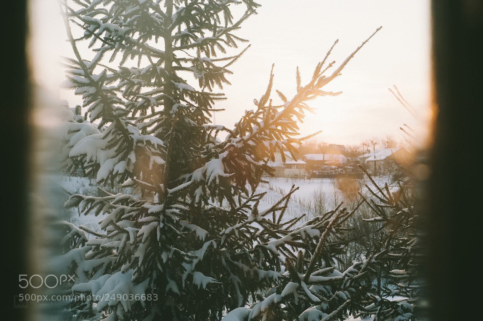 Nikon D700 sample photo. Last snow photography