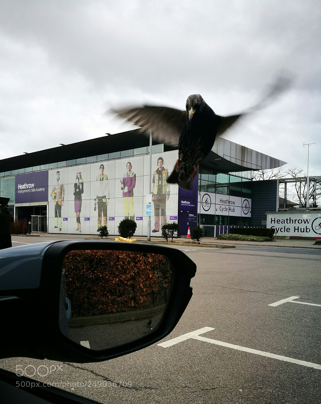 HUAWEI P9 sample photo. Incoming ! photography