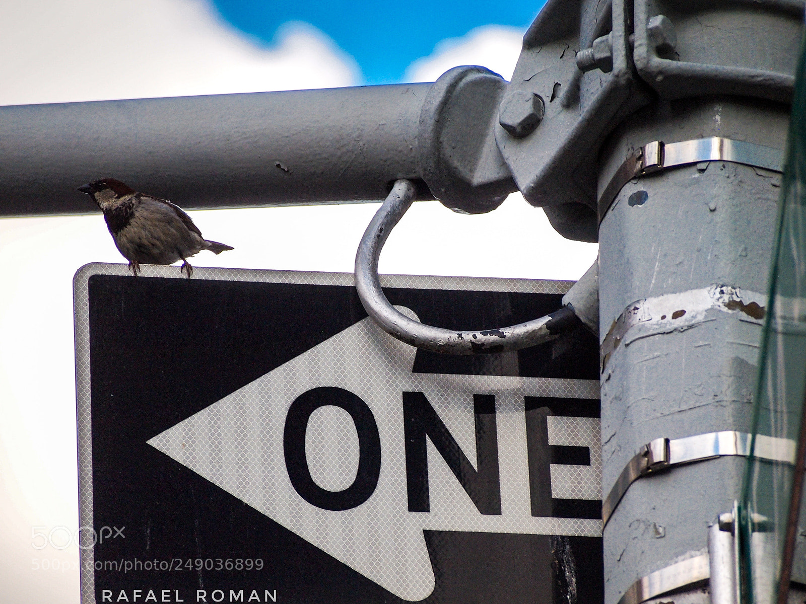 Olympus PEN E-PL1 sample photo. One way photography