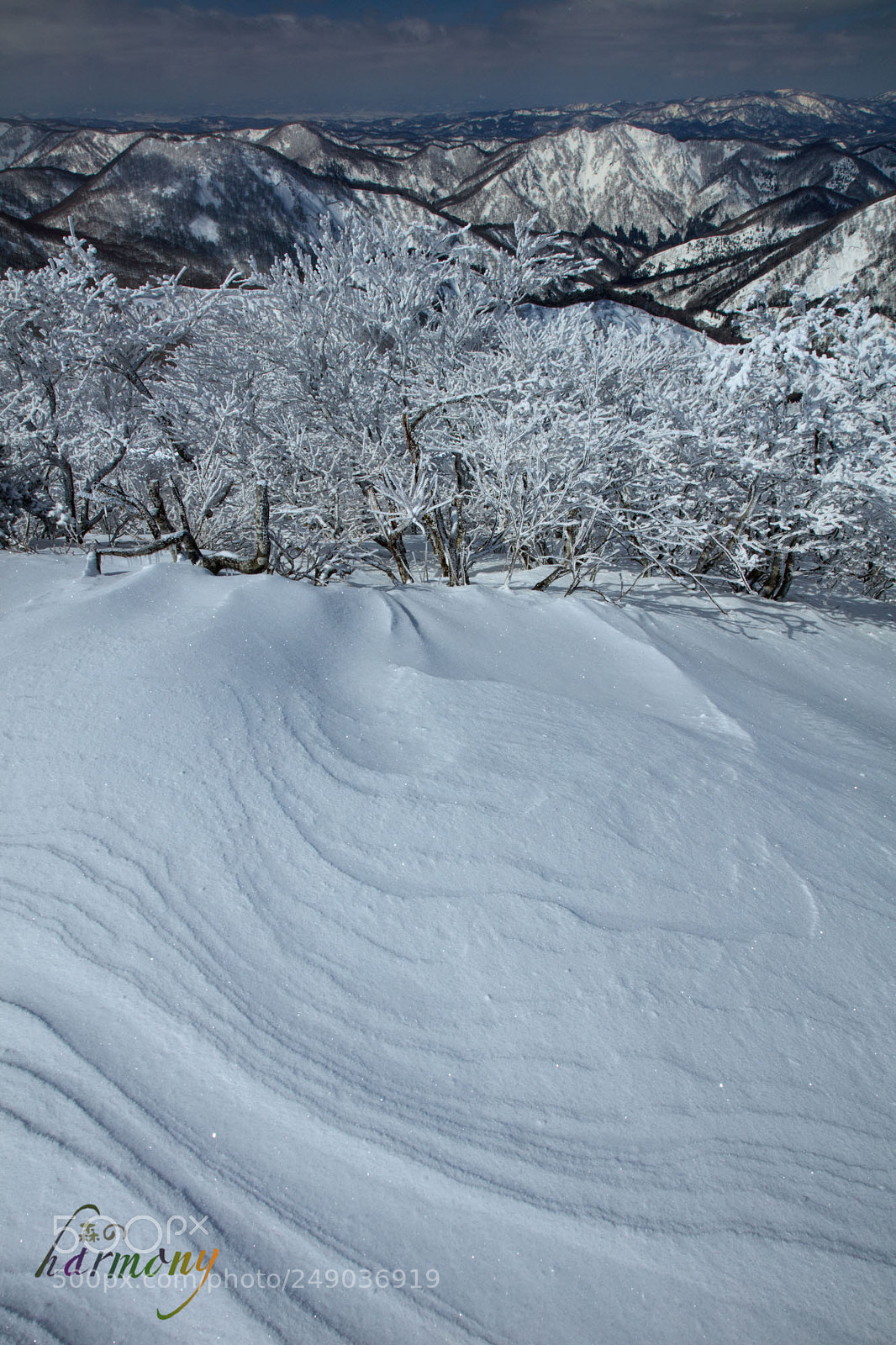 Canon EOS 5DS sample photo. Impression of wind photography