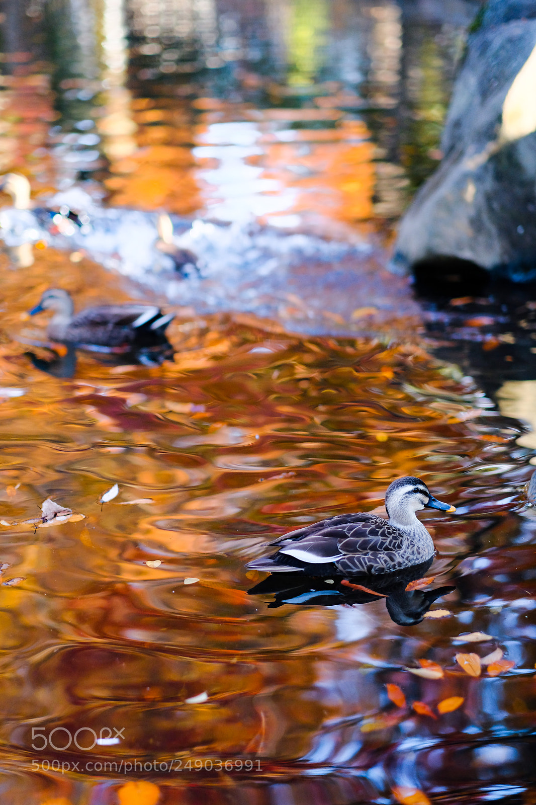 Fujifilm X-T2 sample photo. Life work photography