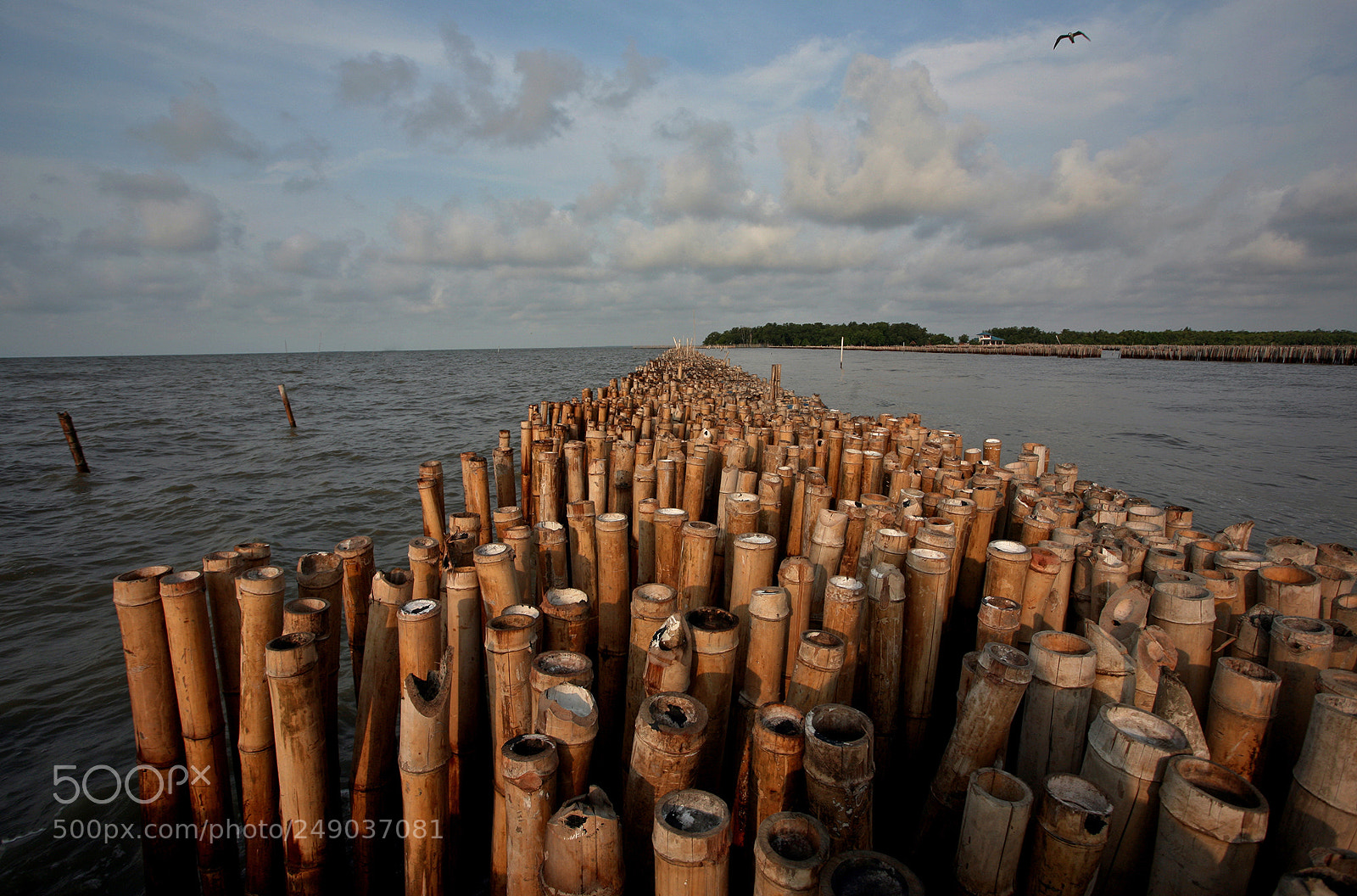 Canon EOS 5D sample photo. Protection photography