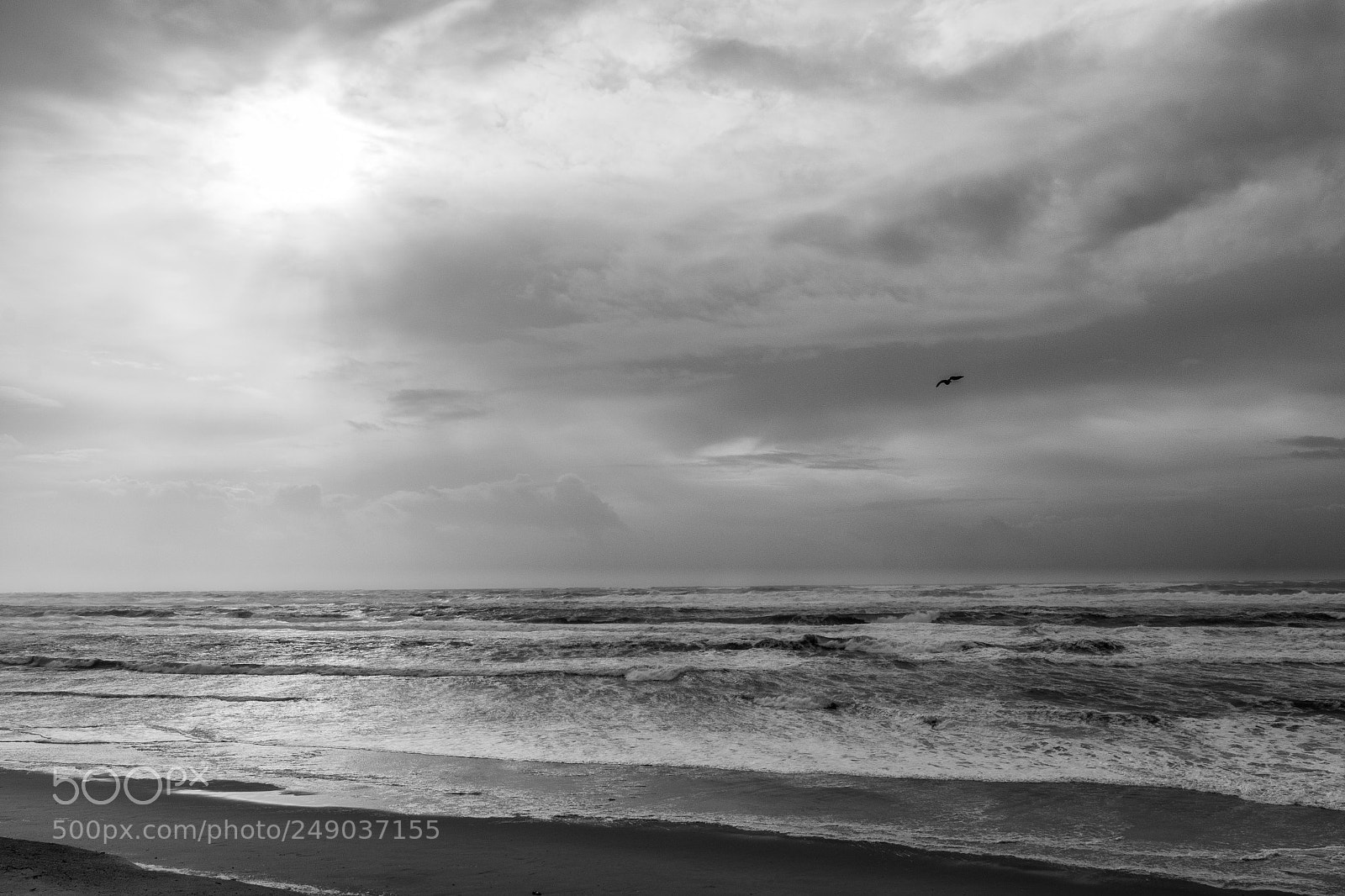 Nikon D3100 sample photo. Alone in the storm photography