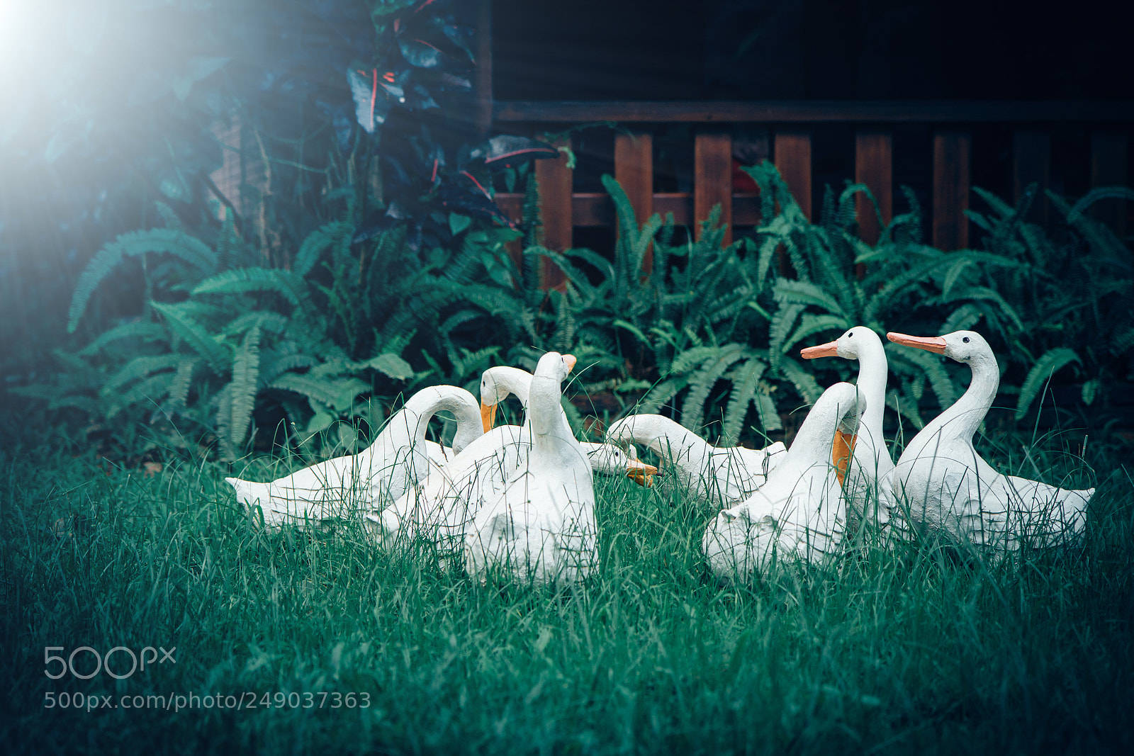 Canon EOS 60D sample photo. White duck family sculptures photography