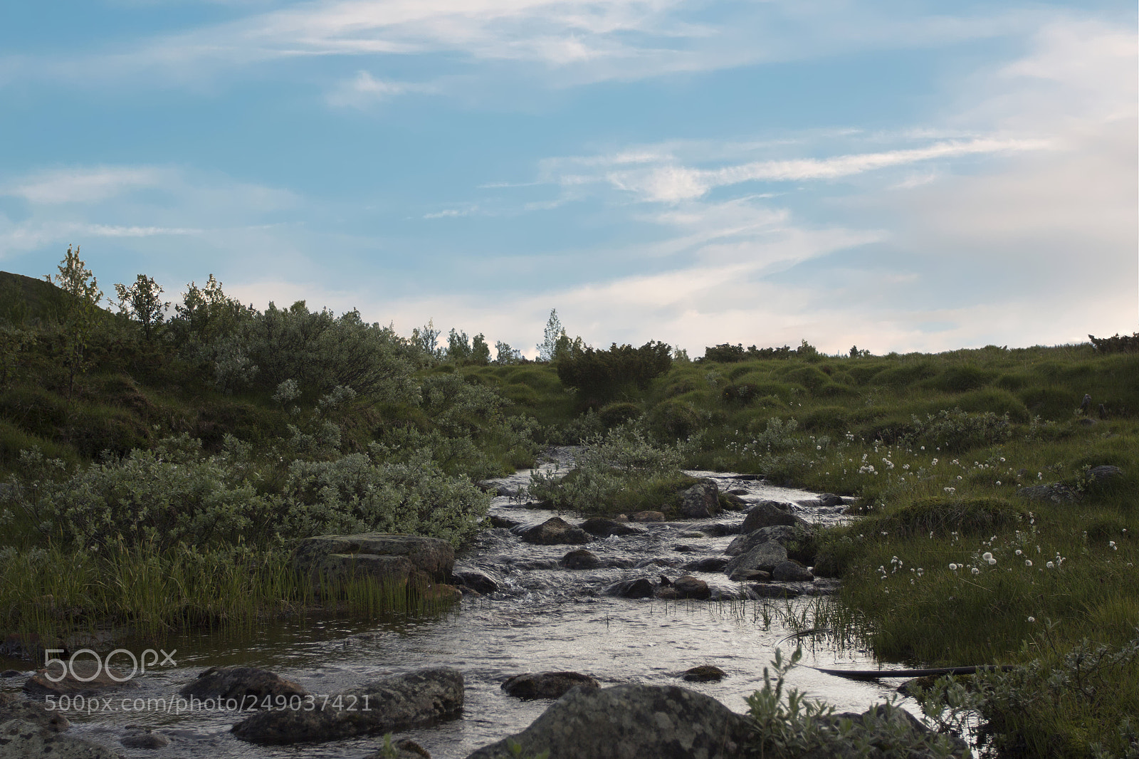 Canon EOS 60D sample photo. River in norwegian national photography